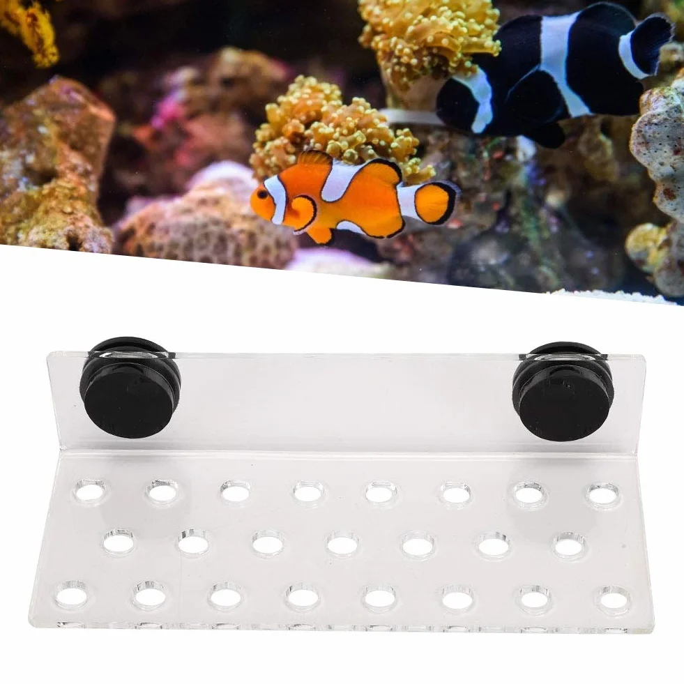 Fdit Frag Rack Acrilico Magnetico Holder Supporto Base Pulsante Acquario 23 Hole