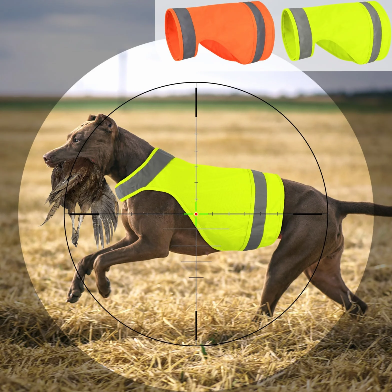 2 gilet di sicurezza per cani, gilet fluorescente da caccia per cani, mantiene i cani al sicuro da auto e incidenti di caccia, cappotto riflettente per cani per passeggiate notturne
