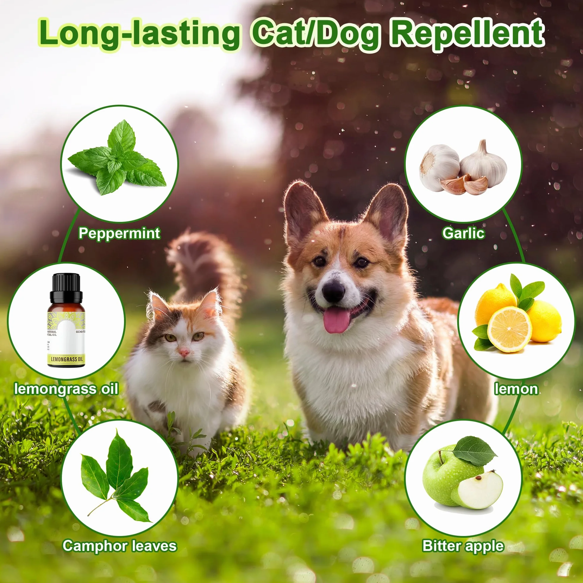 24 Pack Repellente per gatti per esterni e interni - Deterrente naturale per gatti all'olio di menta piperita per tenere i gatti fuori dal cortile in modo permanente, tenere lontani i gatti randagi e