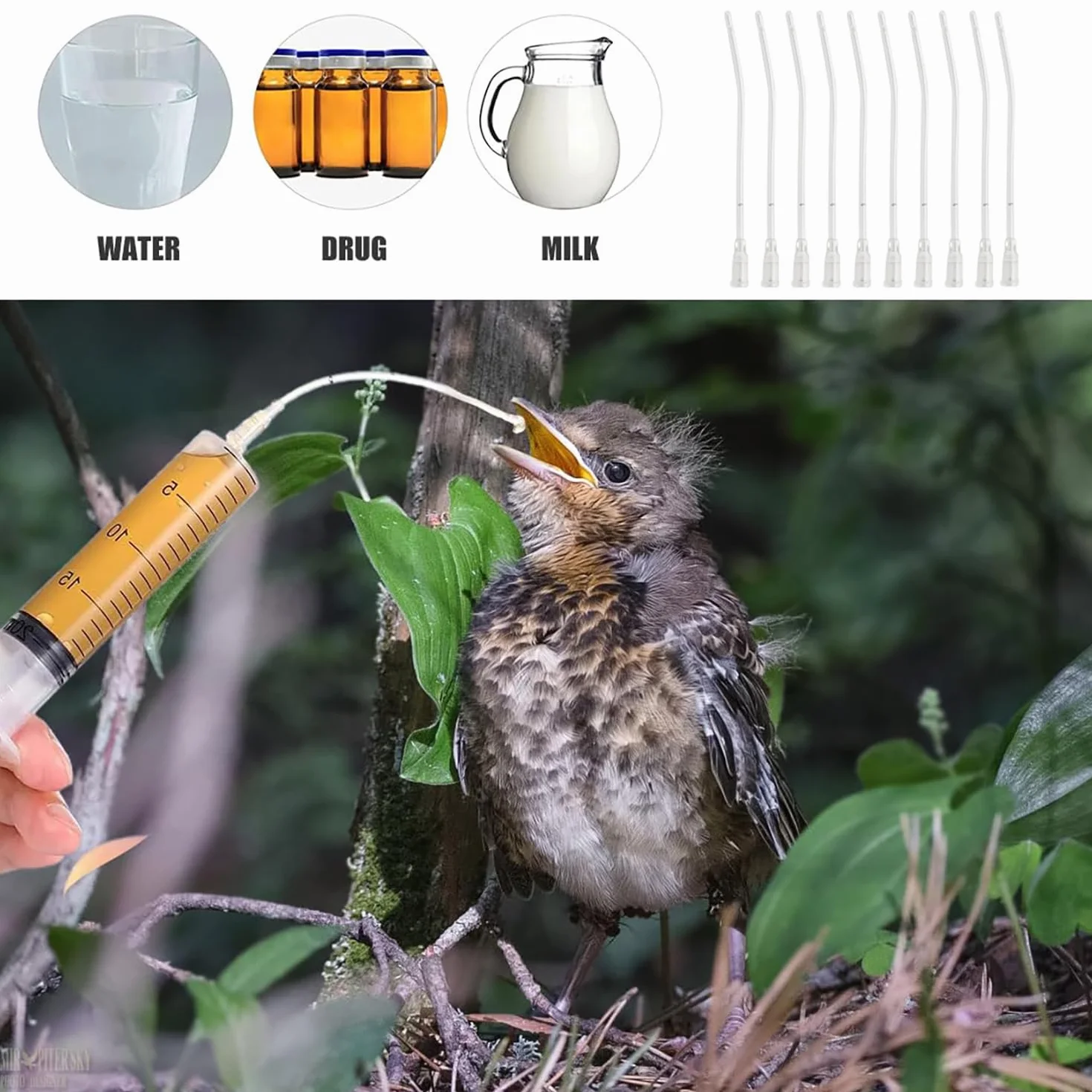 Alimentatore Pappagalli,10 ml Siringhe per L'alimentazione degli Uccellini con 10 Tubi,Strumento per L'alimentazione Manuale di Pappagalli,Piccioni,Passeri e Piccoli Animali,Mangiatoia