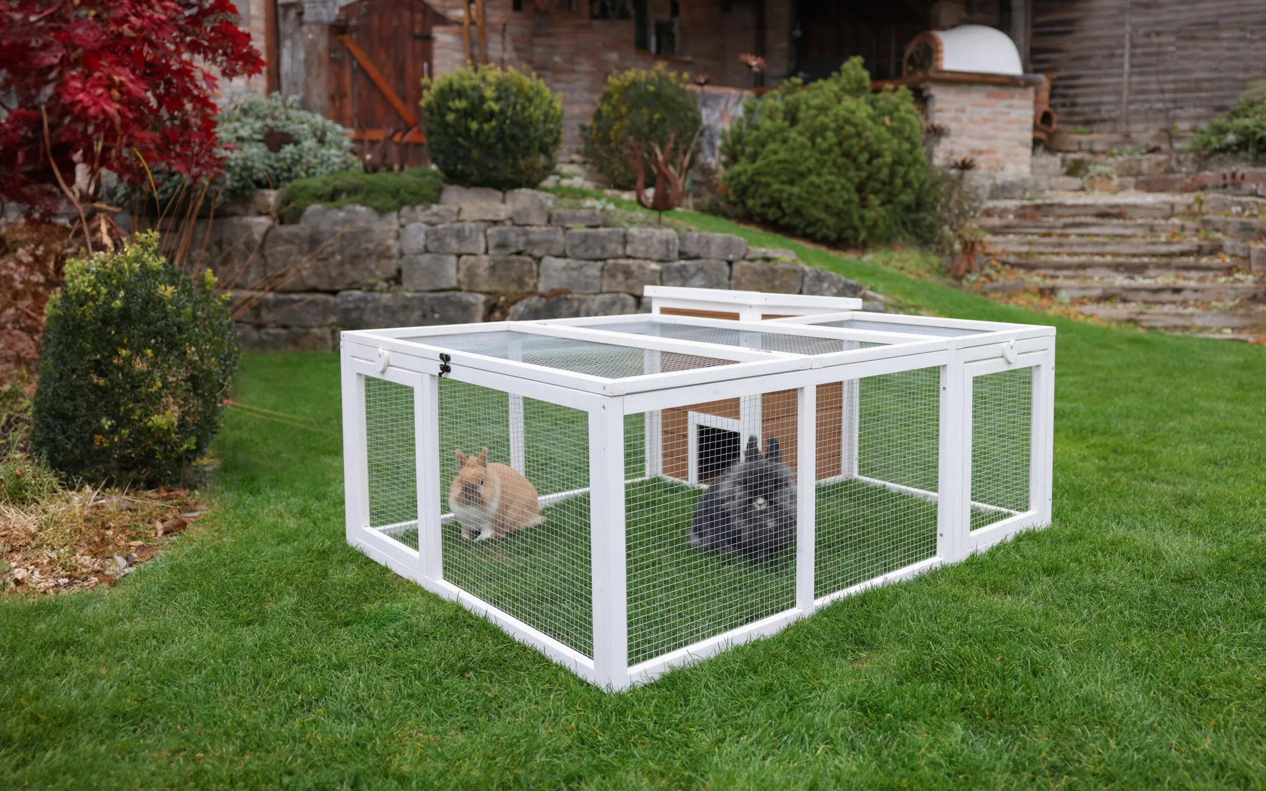 KERBL PET Recinto da esterno con casetta integrata 132x102x59 cm
