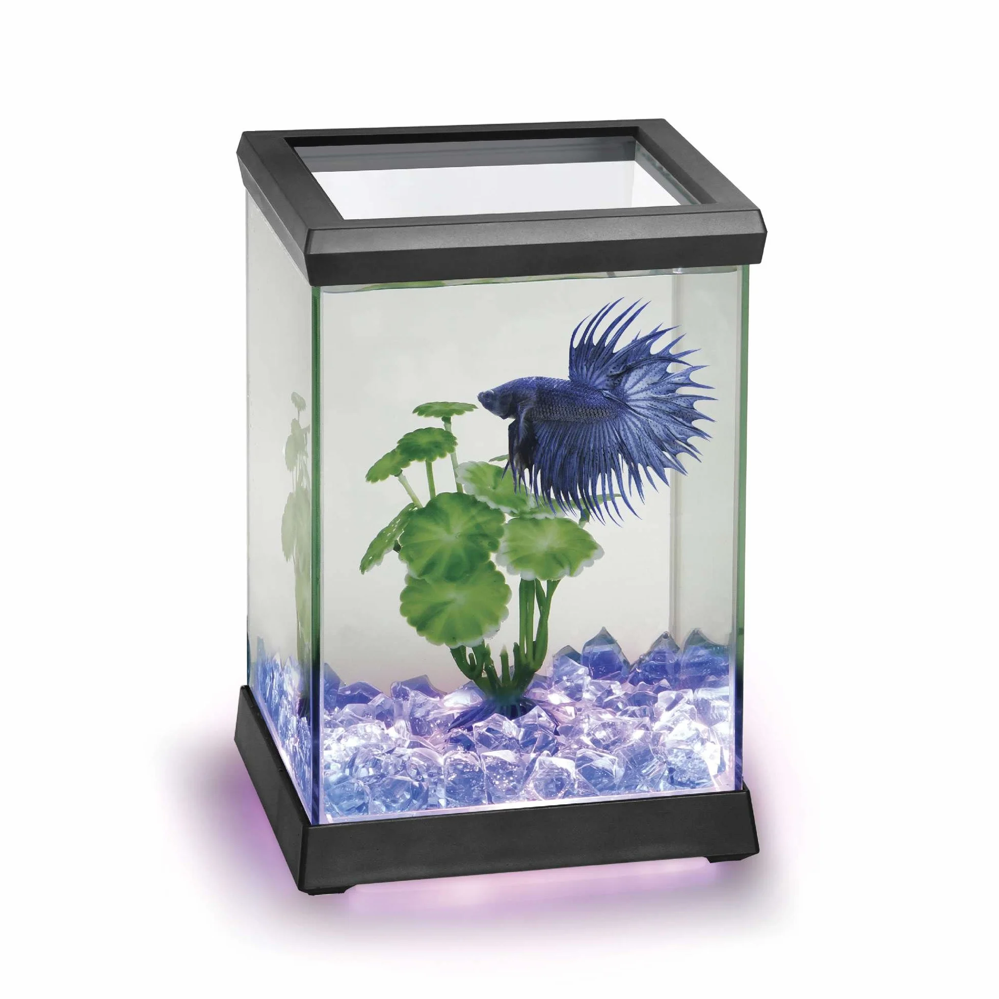 Ocean Free AT619A Kit Betta Space Led, Nero