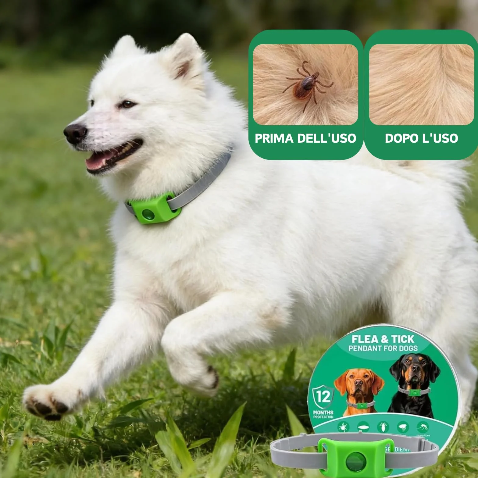 Aquality Pets Collare Antiparassitario Naturale, Collare Antiparassitario Per Cani, Adatto a Più Razze Di Animali Domestici, Gatti e Cani Universali