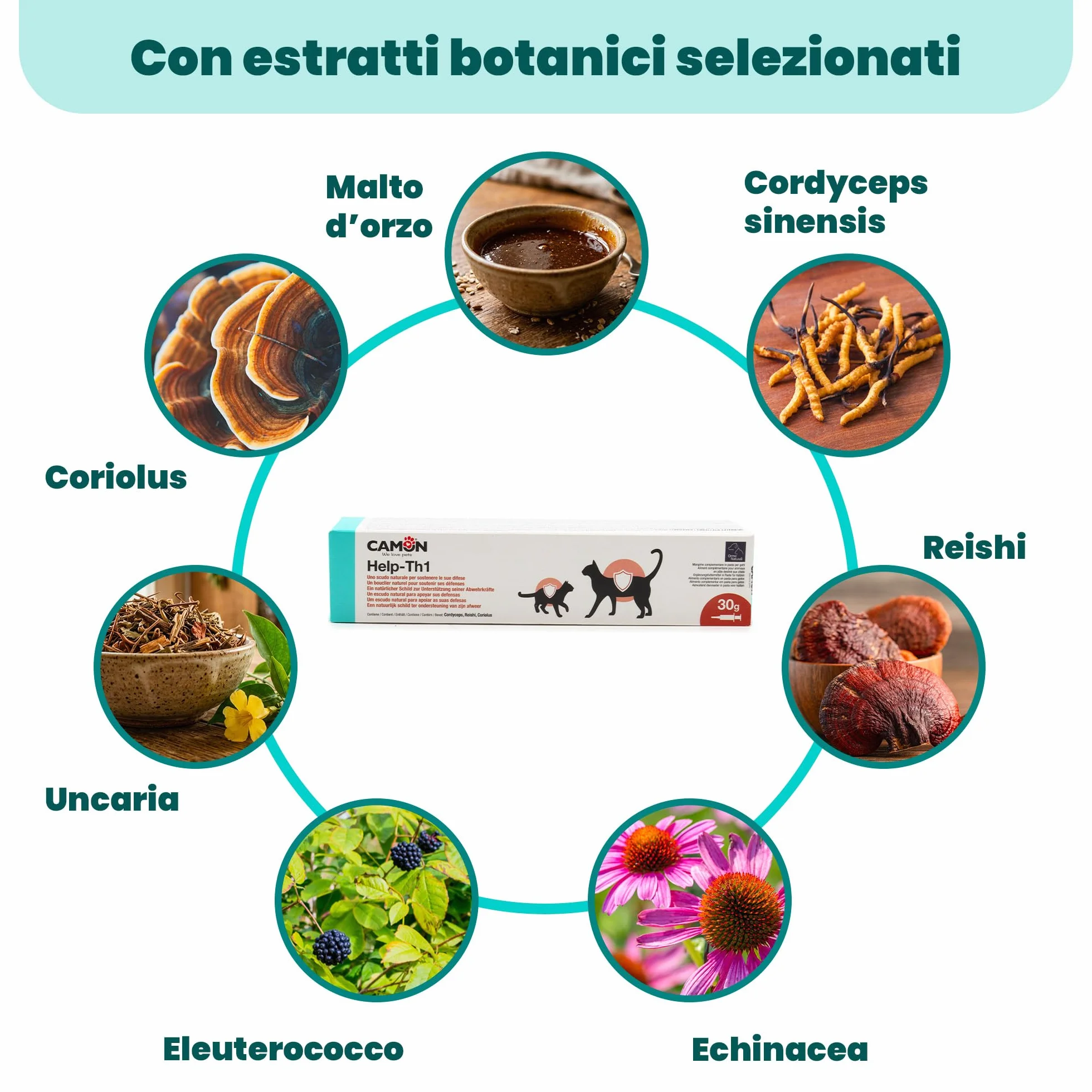 CAMON | HELP-TH1 Pasta in Siringa, Alimento Complementare per Sostenere le Difese Immunitarie di Gatti, 30g