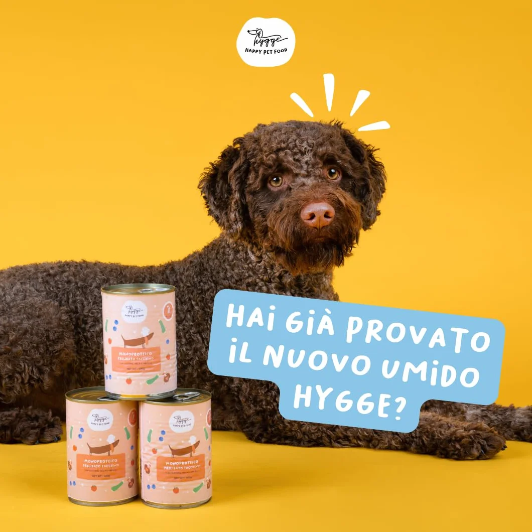 Hygge Dog Cibo Umido per Cani Monoproteico al Maiale | Con Patate e Finocchietto | Cibo Per Cane Adulto | Senza Cereali, Ideale per Dogs Sensibili | Prodotto in Italia | 12 x 400g