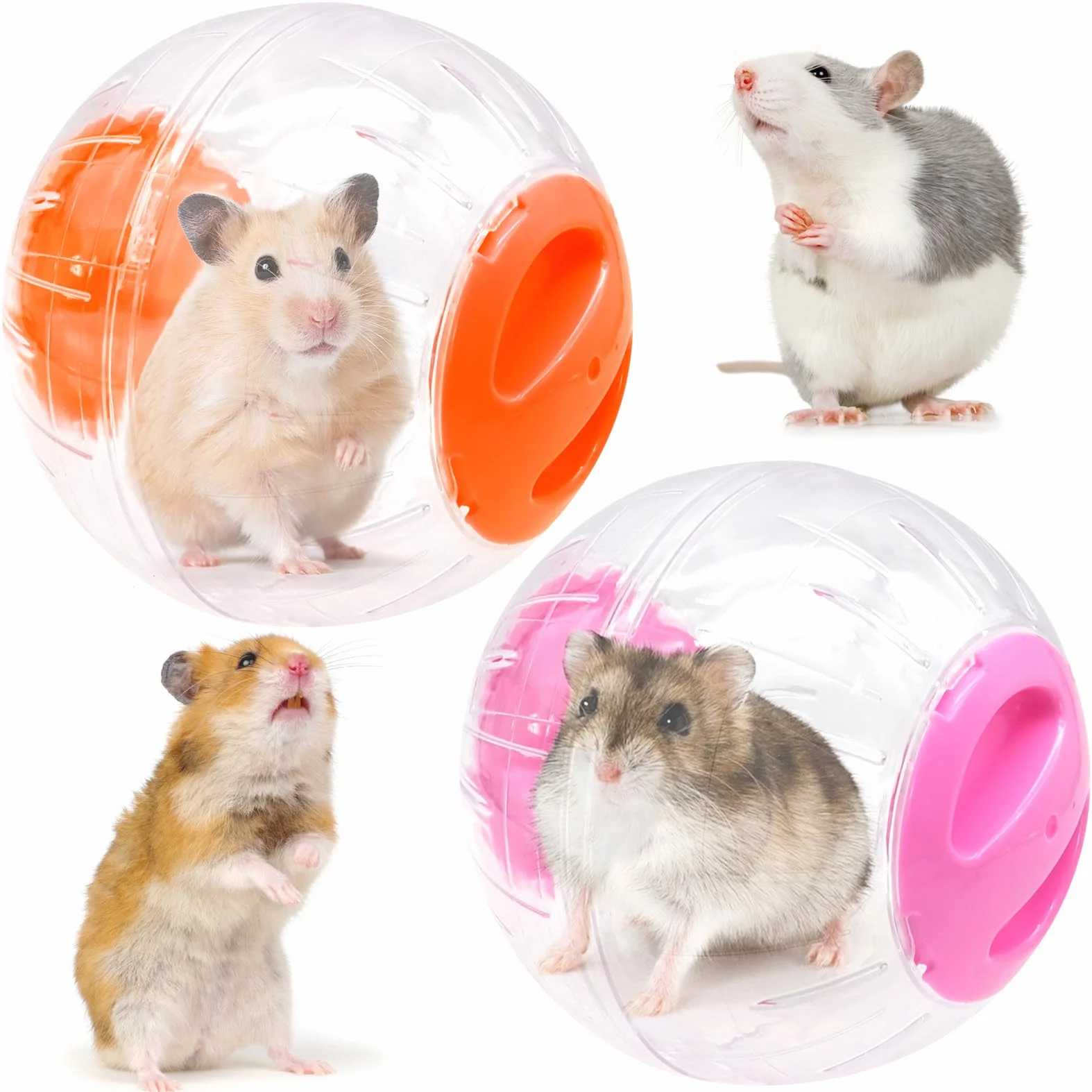 2 Pezzi Palla Criceto, Palla da Corsa per Criceto, Palla Fitness Criceto Plastica, Palline Esercizio Trasparente, Ruota di Corsa per Hamster Animali Roditori Nano Gerbilli (Rosso+Arancione)