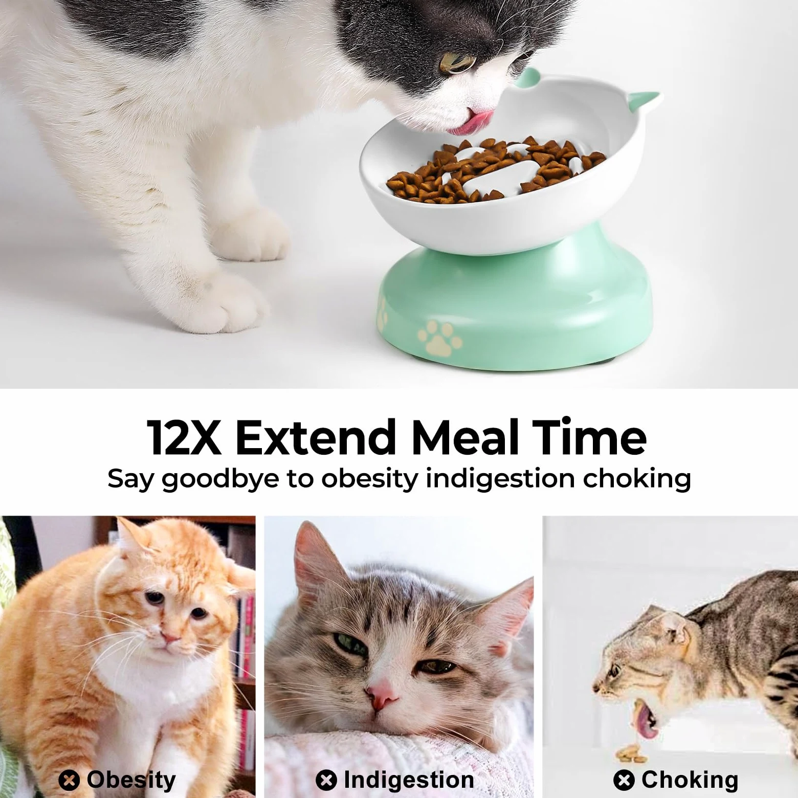 Y YHY Ciotola per gatti con alimentazione lenta, in ceramica, design inclinato, per cani e gatti, per cibo secco e umido, verde