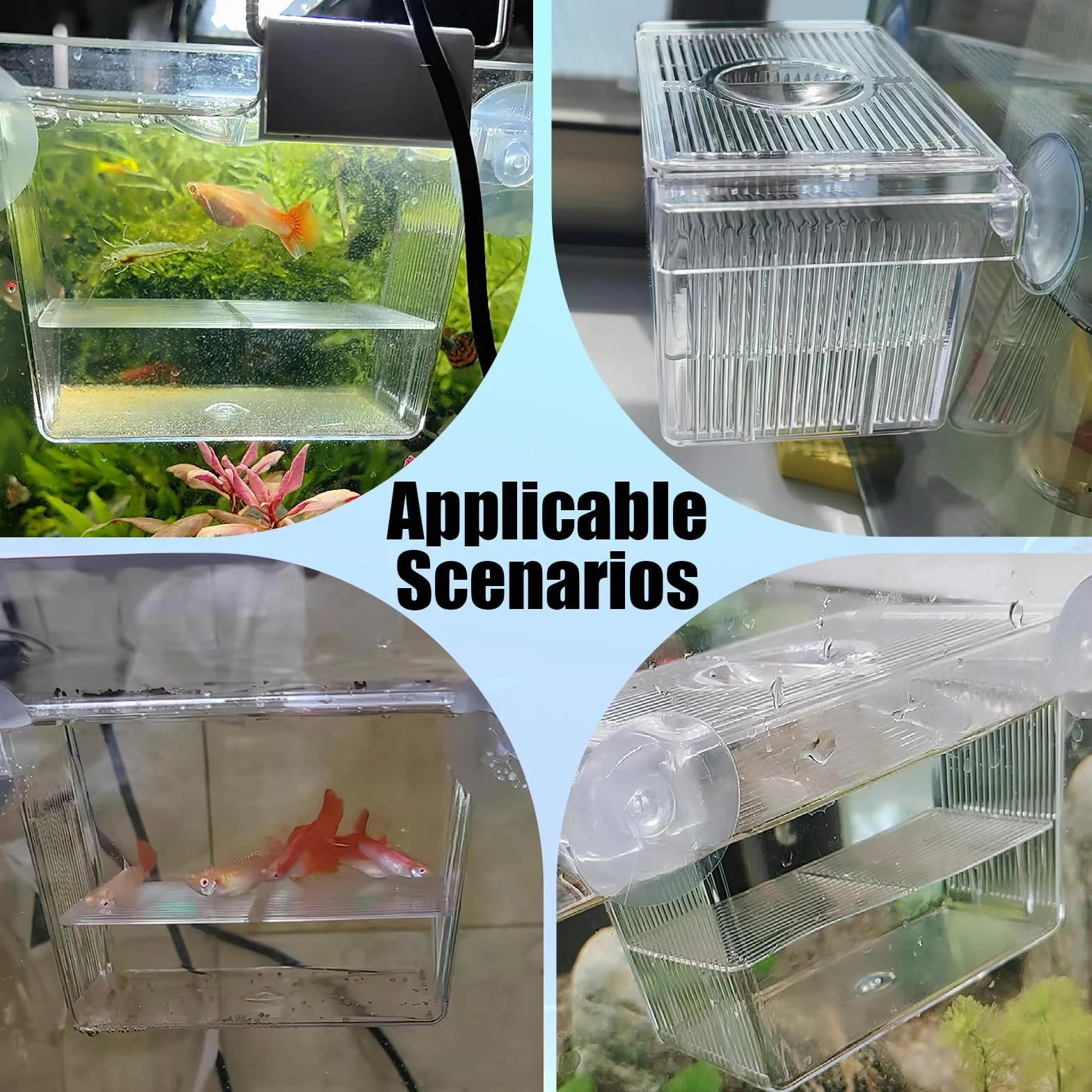 Scatola per l'allevamento di Pesci in Acrilico con Ventose, Isolatore per Acquario Ideale per Acclimatazione Pesci e Gamberetti, Box per Incubazione di Avannotti e Protezione Pesci Piccoli