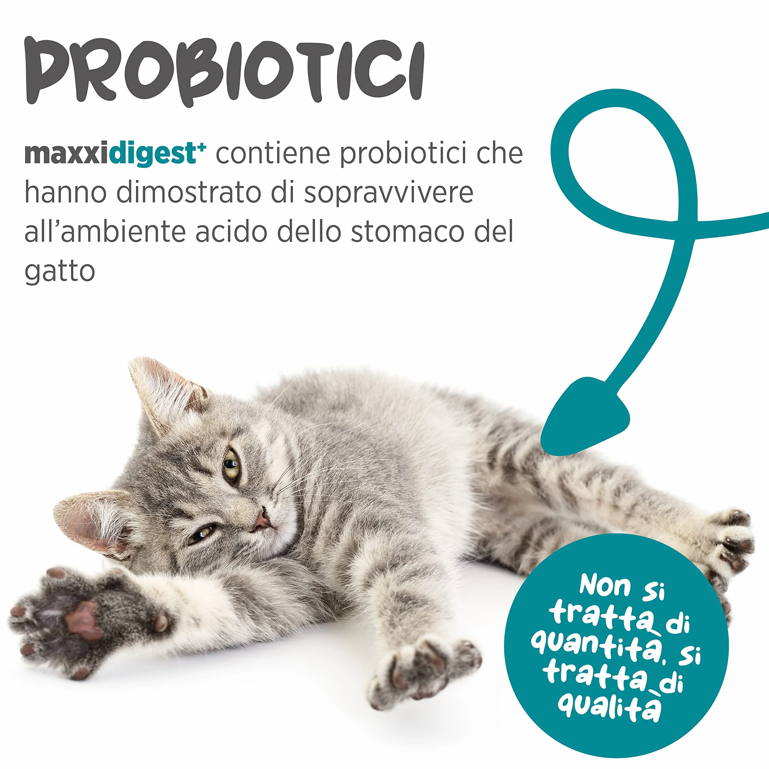 maxxipaws maxxidigest+ Prebiotici e Probiotici per Gatti - Integratore per l'Apparato Digerente e il Sistema Immunitario, 90g