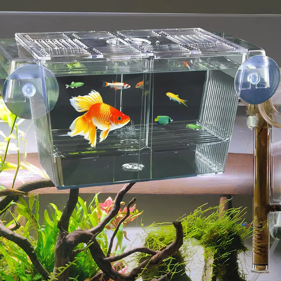 Scatola di Allevamento per Pesci o Acquario Box Isolamento in Acrilico per Pesci Scatola di Isolamento per Acquario per Pesce，con 5 Ventose, per Proteggere gli Avannotti, 23x9.8x9.5cm