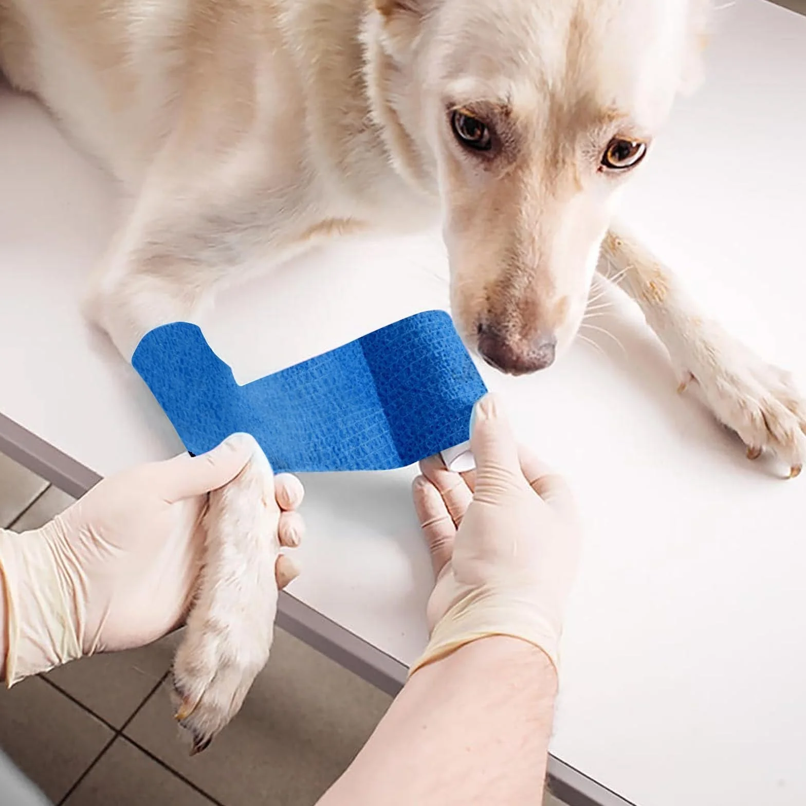 12 Rotoli di Bendaggio Autoadesivo, 10cm x 4,5m Bendaggio Coesivo Bendaggio Elastico Animale Medico Primo Soccorso Dita Caviglia Mani Piedi