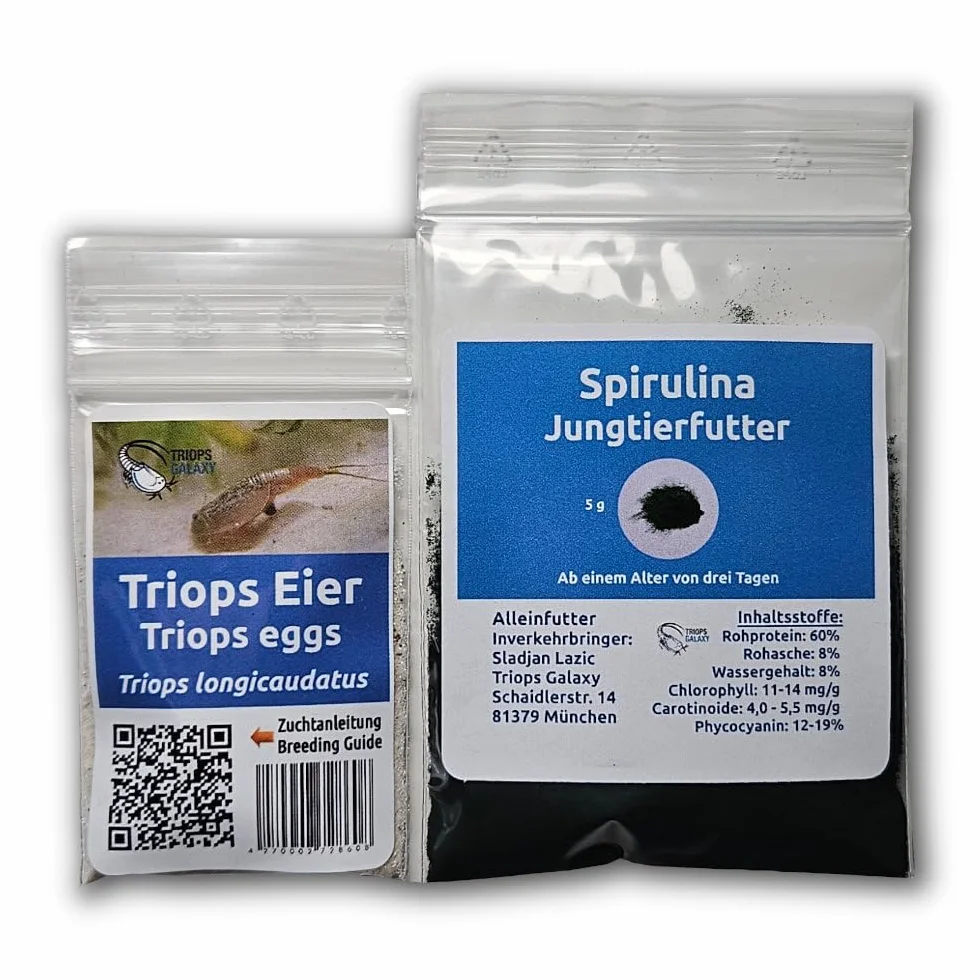 Triops longicaudatus – Mini set di 50 uova da triops – uova da triop con istruzioni (lingua italiana non garantita)