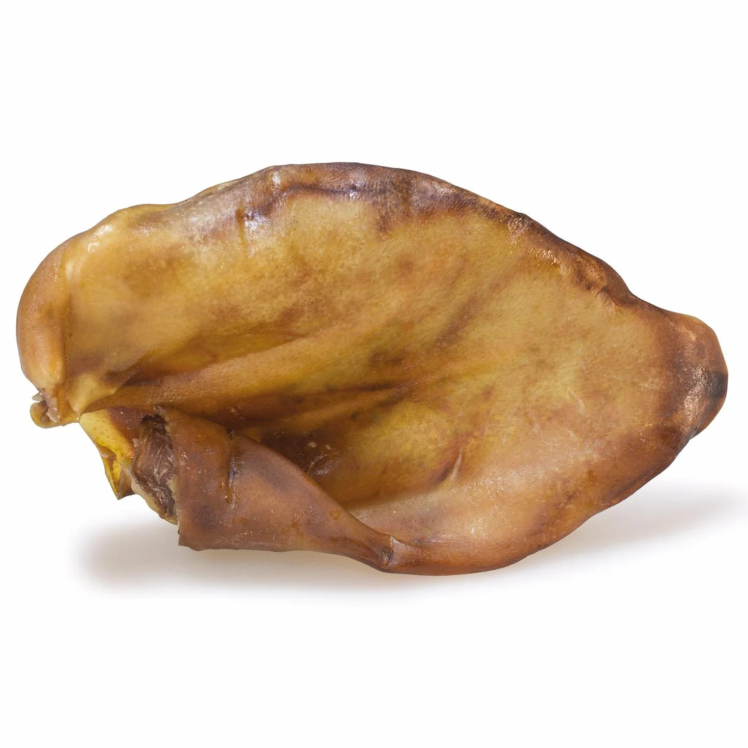 Arquivet Orecchio di maiale XXL (sacchetto 50 pz.) 5180 g