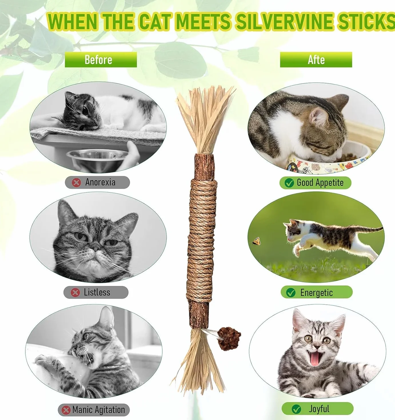 Simsky 6 Pezzi Bastoncini Erba Gatta per Gatti, Bastoncini Cura Denti per Gatti, Bastoncini di Erba Gatta Naturale di Giocattoli per la Cura Dentale, Bastoncini per il Gatto Contro l'alito Cattivo