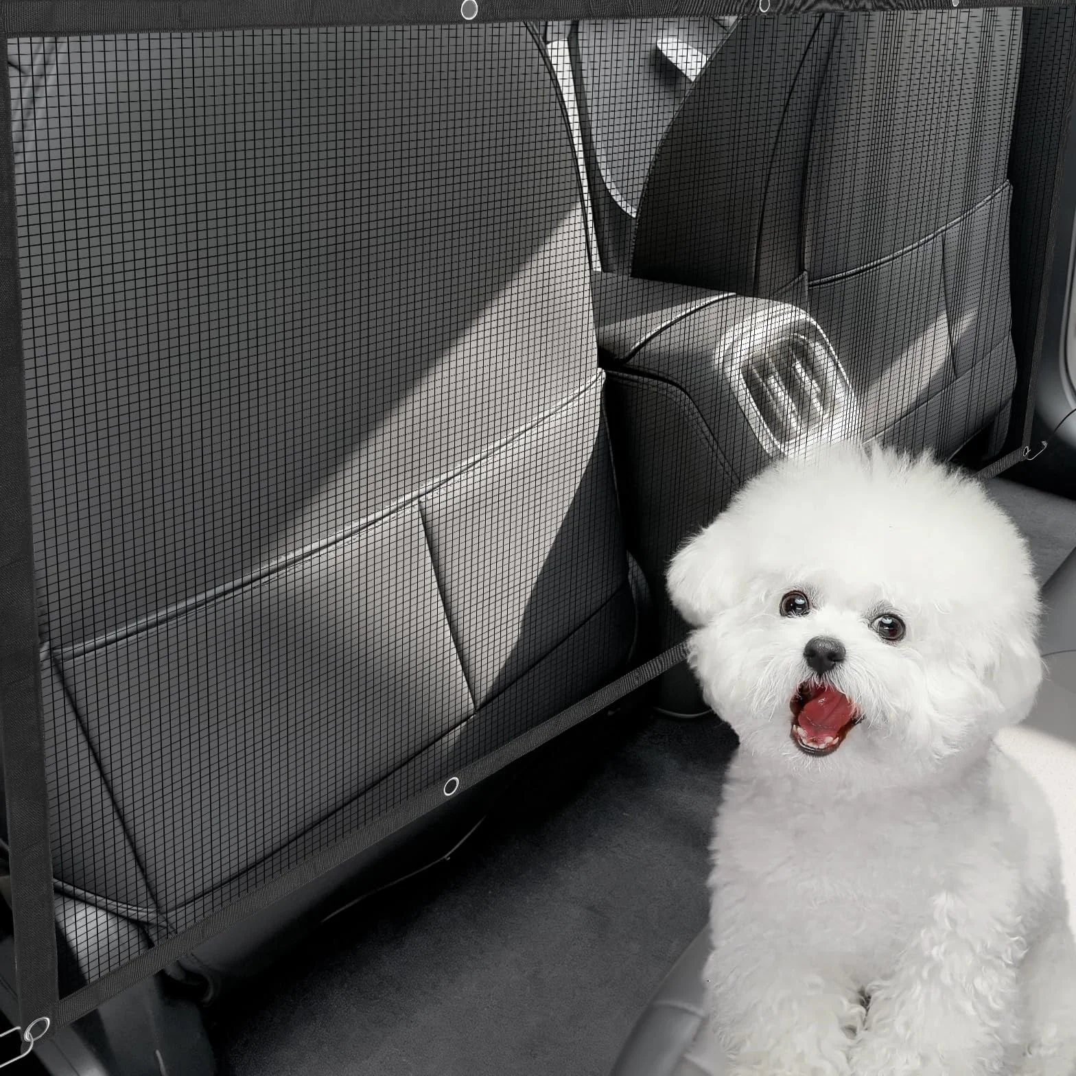 divisorio auto per canii 115 × 62 cm,rete per cani auto per cani, Robusto sedile posteriore per auto per cani con 4 ganci e 2 corde regolabili - rete divisoria auto per cani per SUV, station wagon