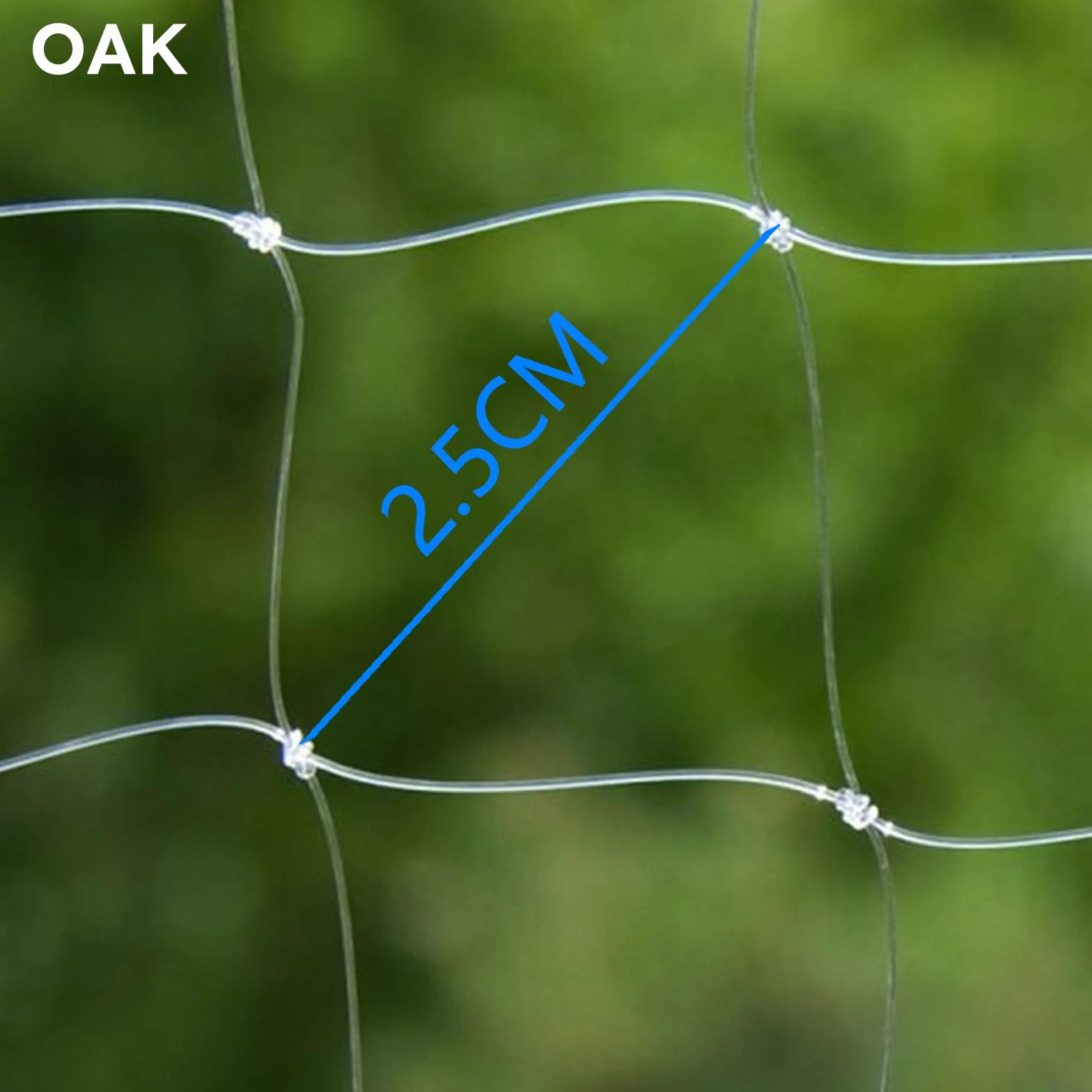Rete di protezione per gatto per balcone, anti-uccelli e piccioni, in nylon forte resilienza, protezione da giardino (10 x 10 m/trasparente)