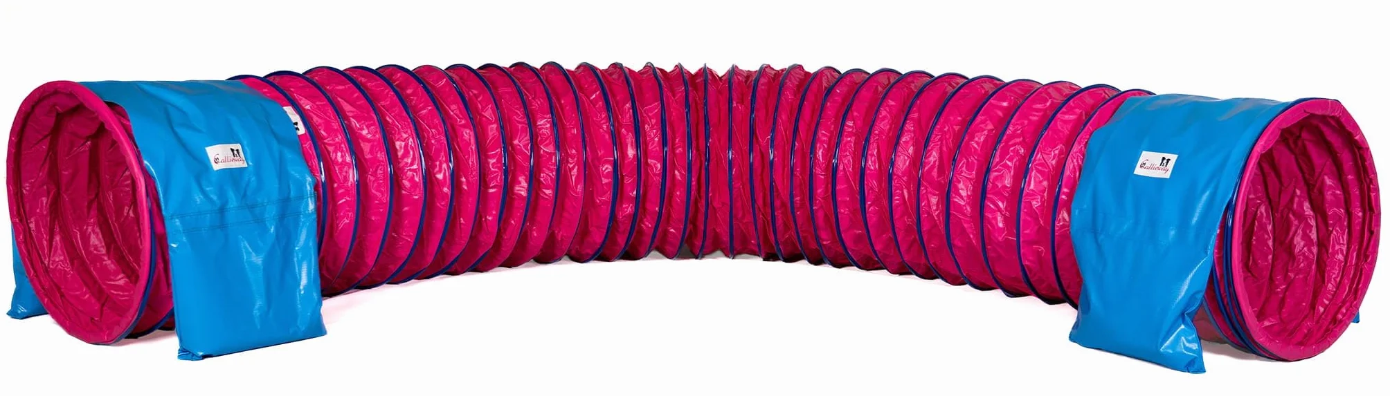 Callieway Dog Agility Tunnel professionale per cani 3 m Fuchsia con sacchi di sabbia