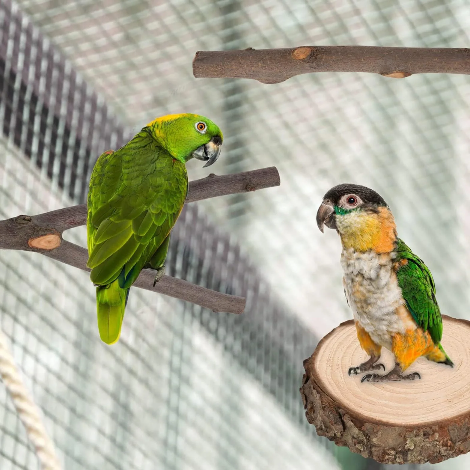 7 Pz Posatoi per Pappagalli, Posatoi in Legno per Cacatua e Parrocchetto