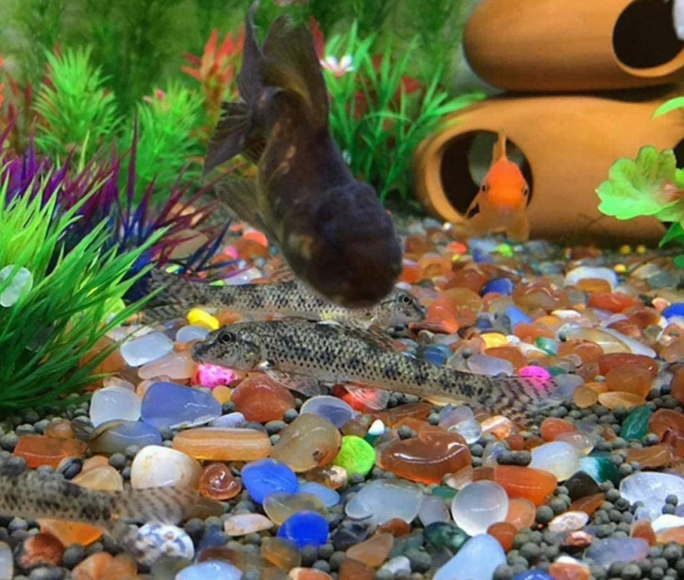 Ciottoli decorativi per acquario mini giardino per micro paesaggio, granuli di ghiaia fiume passerella abbellimento rosa, 200 g