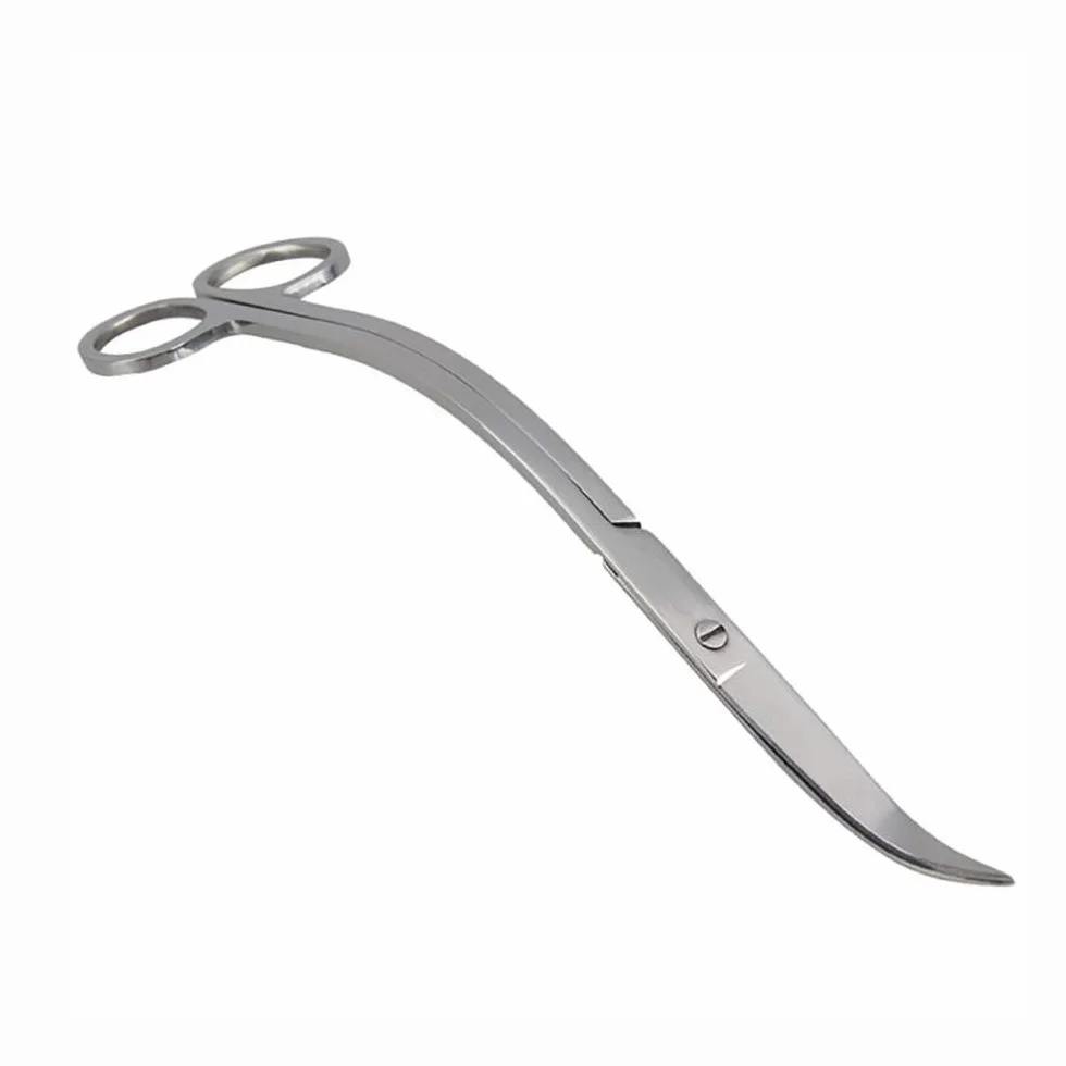 Forbici per Acquario,Forbice Curve per Acquari in Acciaio Inox Forbici per Lama Curva per Acquario Piante