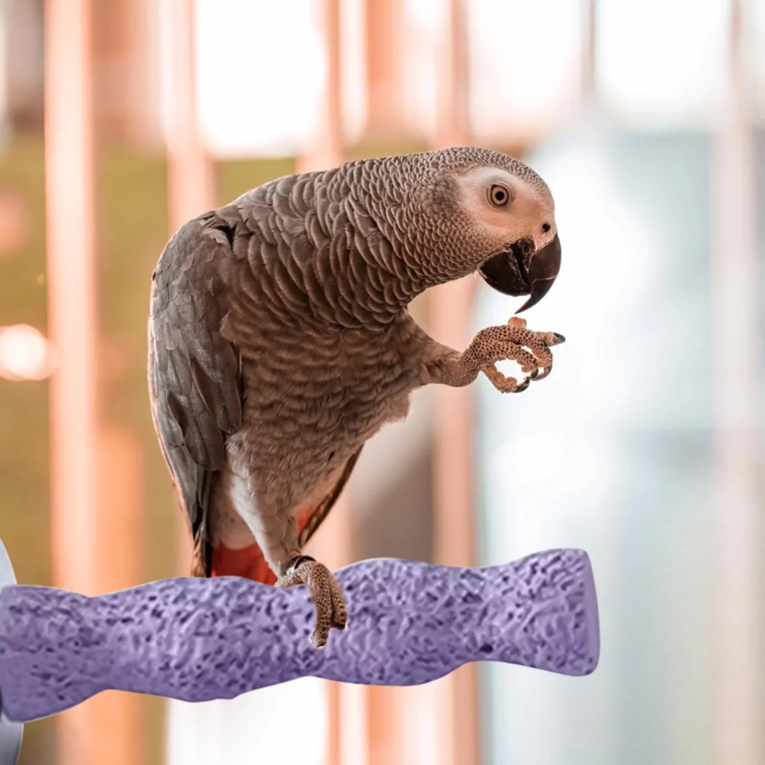 Posatoi Per Uccelli Per Gabbia,Posatoio per Gabbia Pappagallini | Giocattolo per Unghie per Pappagalli Cocorite Calopsite Inseparabili Attività Addestramento Animali Domestici Gioco Esterno