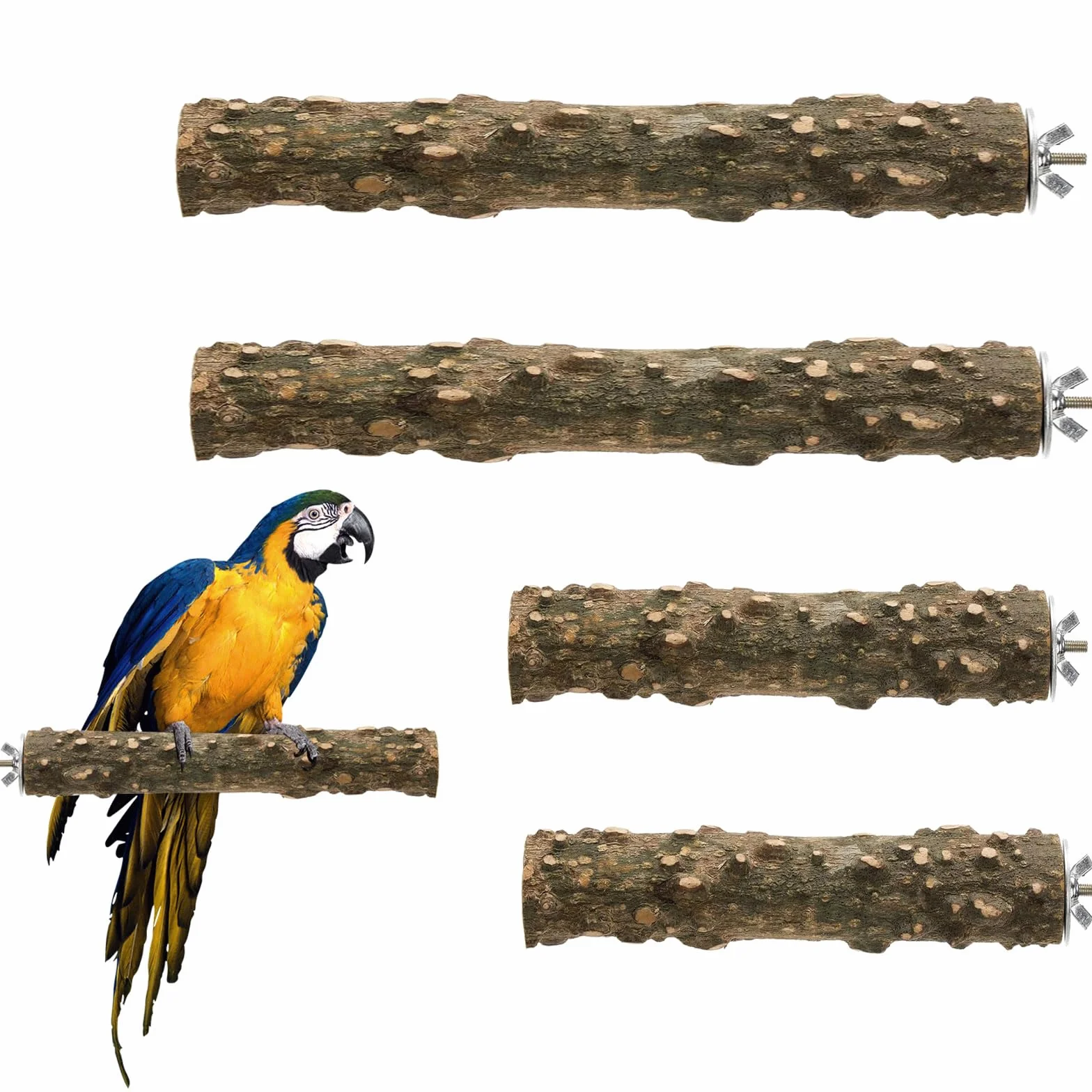 4 Pezzi Posatoi in Legno Di Uccelli, Trespolo Per Uccelli E Pappagalli, Posatoi Per Uccelli Legno Naturale, Posatoi Per Uccelli,Posatoio Per Pappagalli in Legno, Per Cacatua, Cocorite