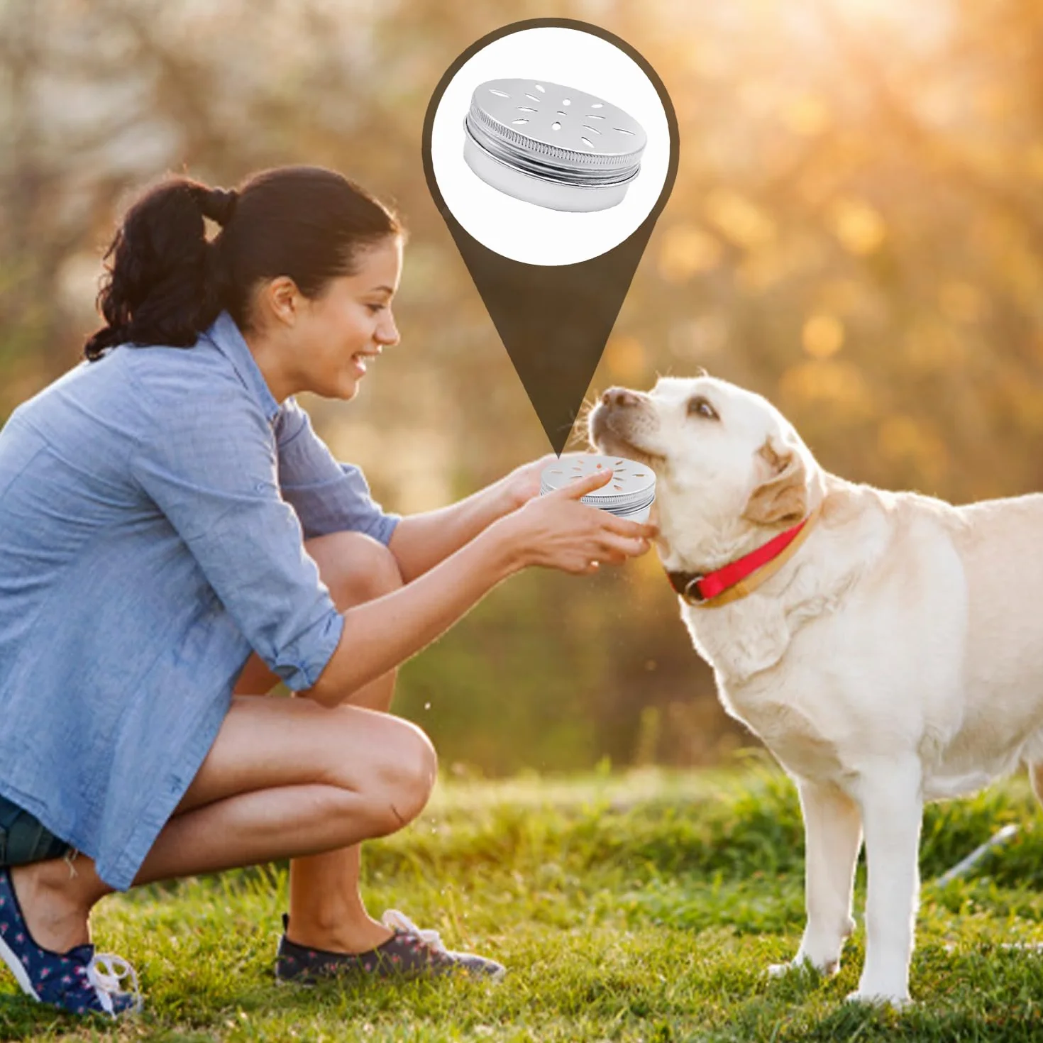 4 scatole profumate per cani, scatole di allenamento per il mondo del mondo, profumate in alluminio, strumenti per l'addestramento del mondo