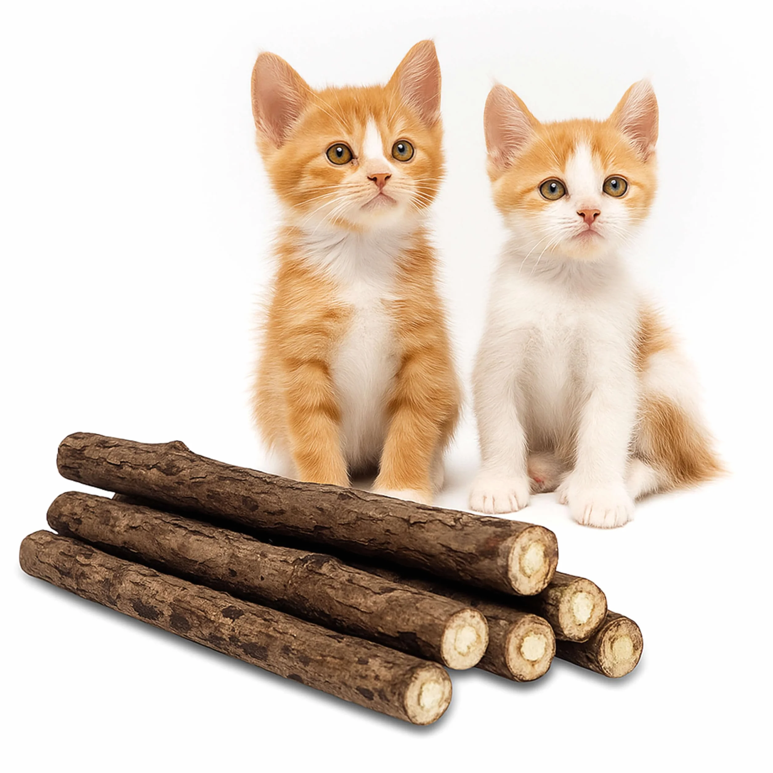 Bastoncini di Erba Gatta in Legno Naturale |6 STICK|✮✮GARANZIA A VITA✮✮- Snack Matatabi per Gatti Adulti e Piccoli - Bastoncino per la Pulizia Dentale e Orale del Gatto, Gusto Menta