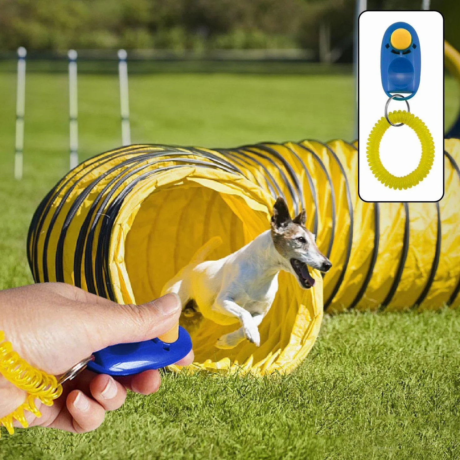 8 Pezzi Addestratore per Animali Domestici, Forniture per Animali Domestici, Strumenti di Assistenza per Addestramento per Cani, Clicker di Addestramento per Cani.