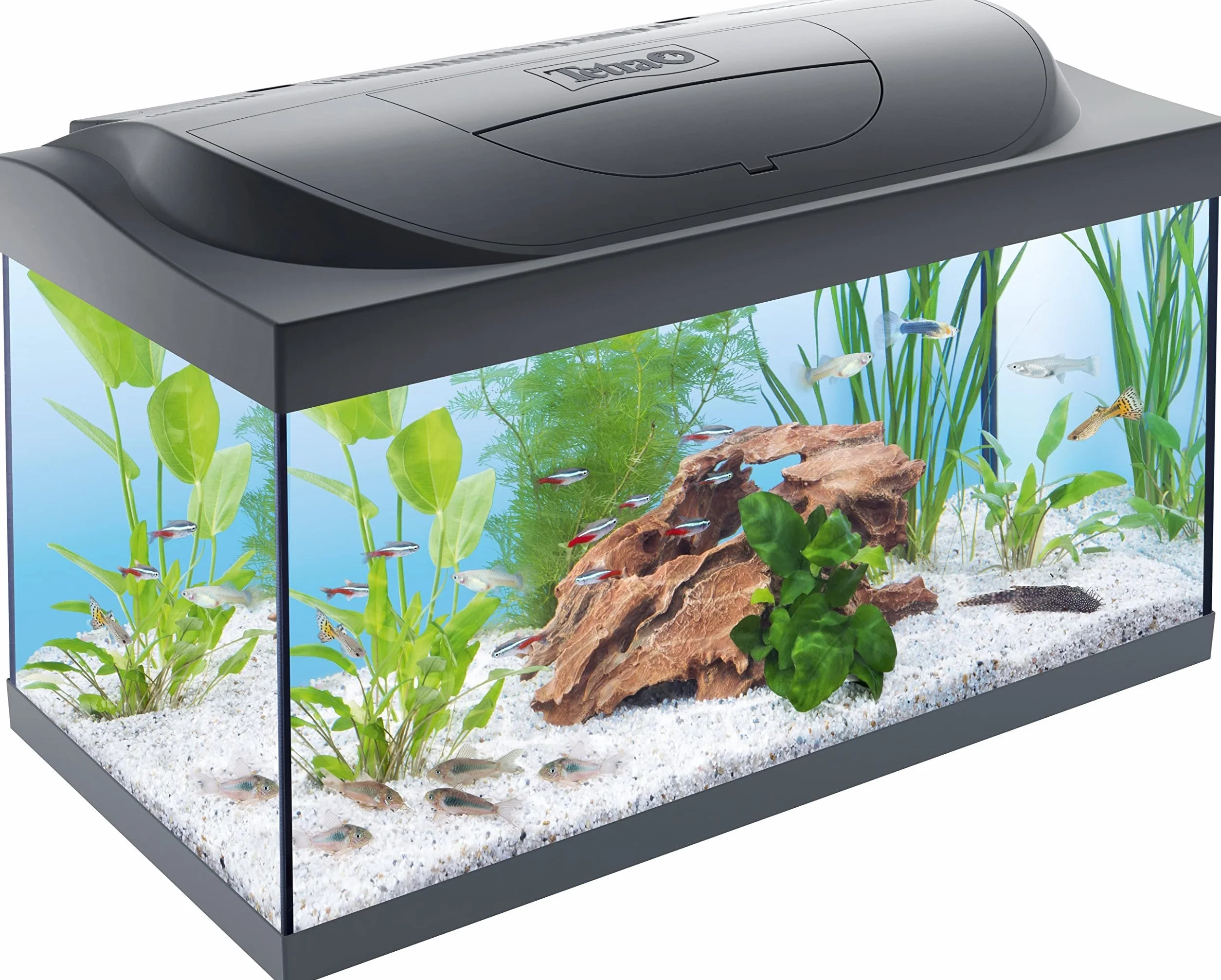 Tetra Tetra Aquarium Starter Line LED Fish Tank Set completo per acquario