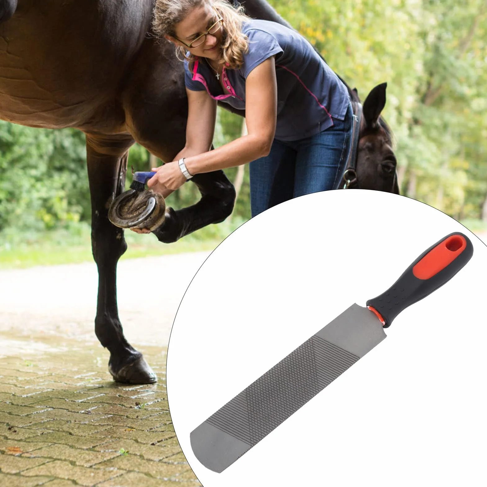 Raspa per Zoccoli, Lima a Ferro di Cavallo da 8 Pollici Strumenti per Maniscalco Strumento per rifilare Zoccoli per Cavalli in Acciaio al Carbonio con Manico Flessibile per Cavallo