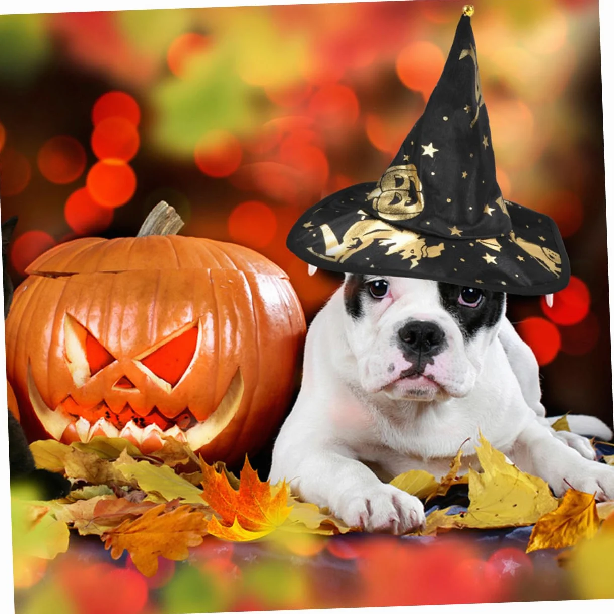FRCOLOR 5 Set Stampato Mantello Da Mago Costume Per Il Gatto Mantello Da Strega Piccolo Cane Halloween Costume Del Cane Vestiti Dell'Animale Domestico Di Halloween o Del
