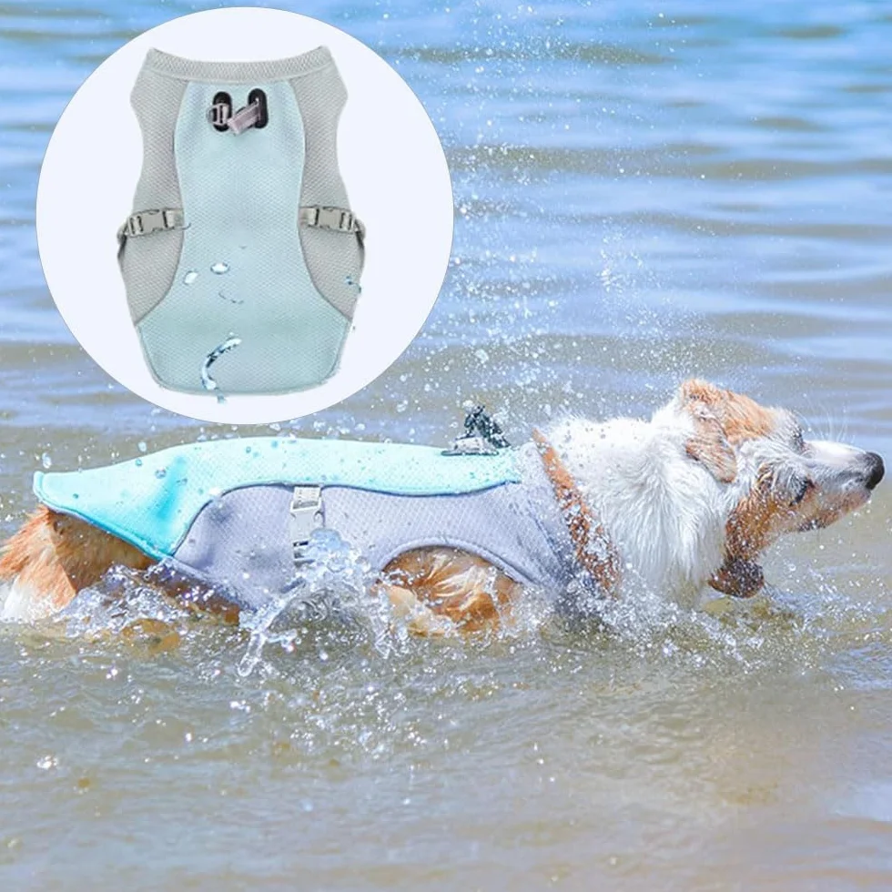Voarge Gilet Rinfrescante per Cani, Giubbotto Leggero, Giubbotto Riflettente e Sicurezza per Cani di Piccola e Media Taglia, Protezione UV, Taglia S