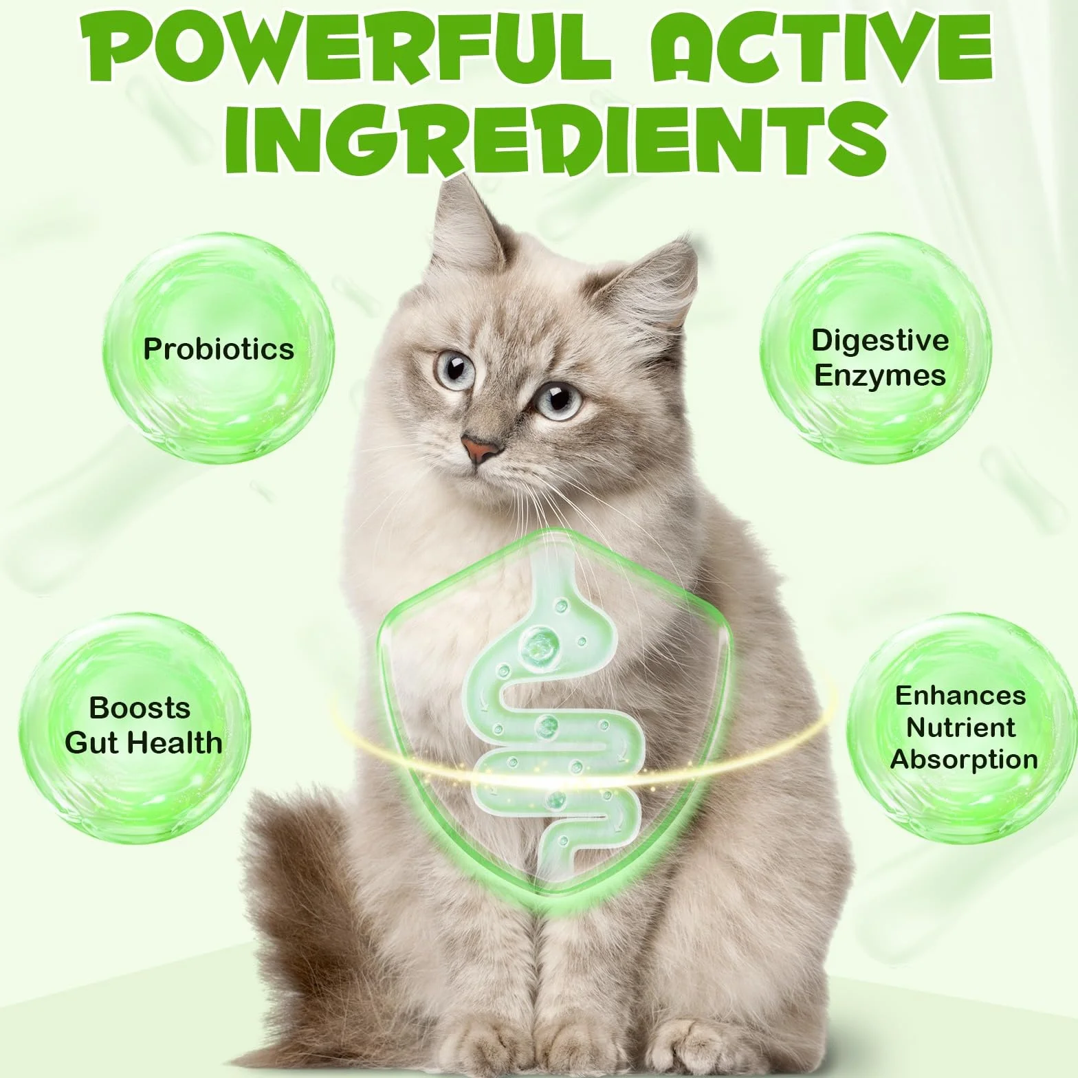 Probiotico per gatti, probiotici 3 in 1 per gatti domestici per alleviare la diarrea, supportare la salute intestinale, il prurito della pelle e l'immunità, integratore digestivo - 60 ml
