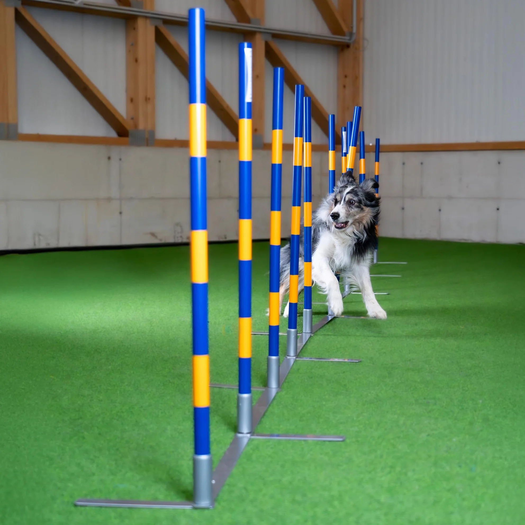 Agility Slalom originale Callieway ®, SLALOM A IMBUTO, slalom stretto, Agility Channel Weaves (conforme alla FCI)