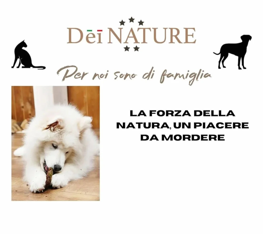 Auricolari di Maiale Essiccate per Cani, confezione da 1 kg,Snack Naturale adatto Dieta BARF