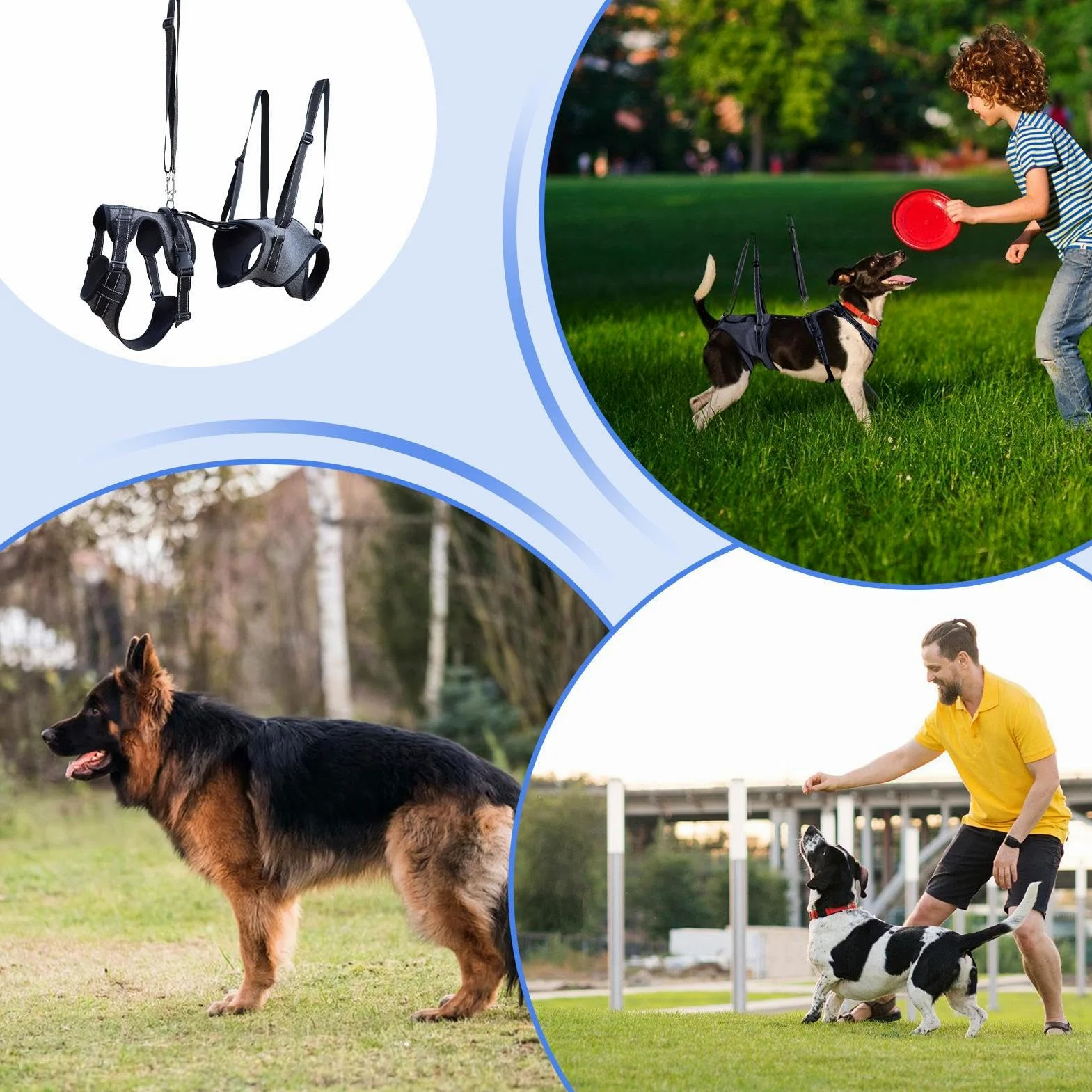 Imbracatura di sollevamento Gilet regolabile con cinghie di trasporto per | Maniglie Sollevatore Per Cani per cani anziani, disabili, riabilitazione e visite veterinarie