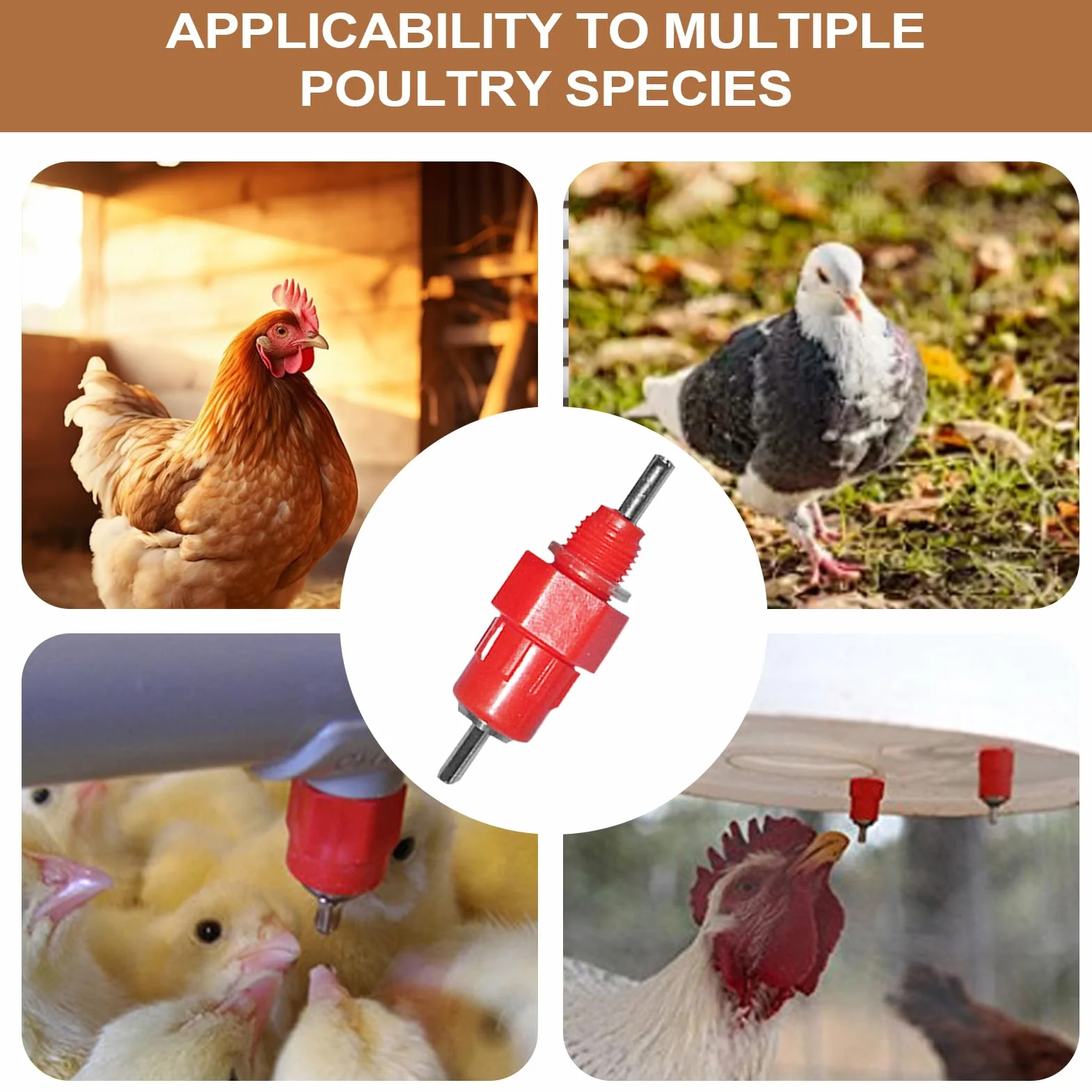 Abbeveratoio A Beccuccio Per Pollame - Capezzolo Per Acqua Per Galline,Fontana Bere Automatica Inossidabile Portatile Per Gabbie Uccelli Capre Conigli Paperi Polli Inverno Giardino