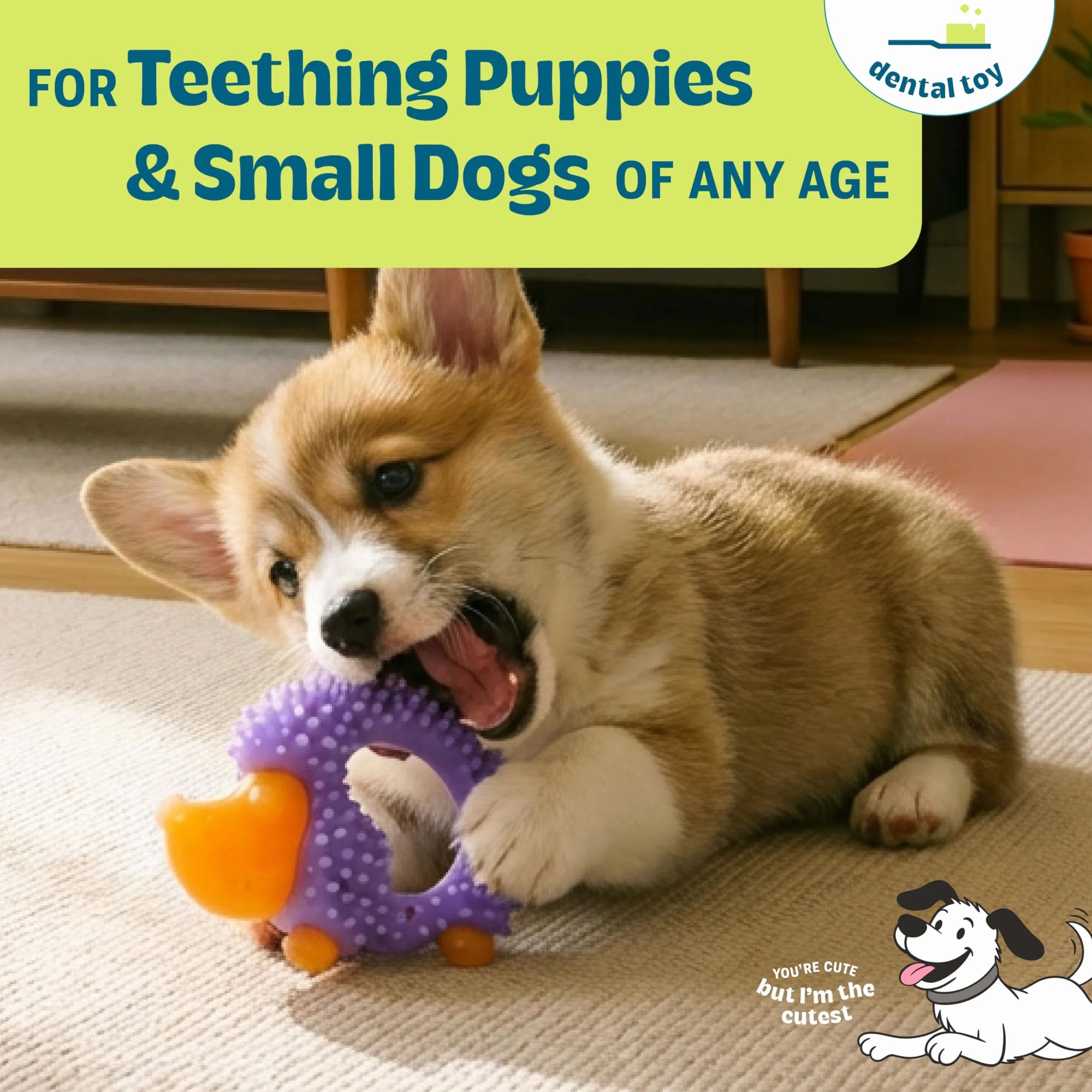 Petstages Cutie Chewies Hedgehog - Gioco da masticare per cani - azzurro