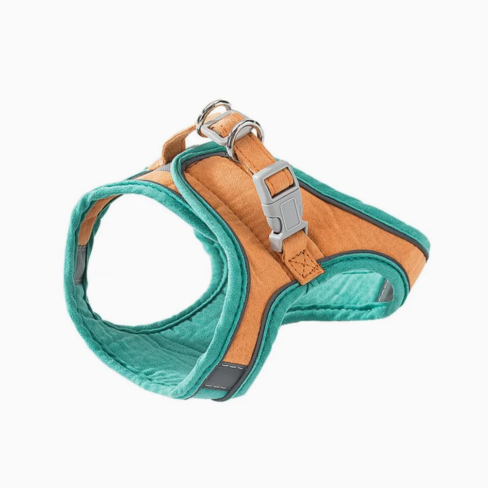 POPETPOP 2 Set Di Guinzagli Per Gattini Con Cinturino Toracico Accessori Per Animali Domestici Per Passeggiate Facili