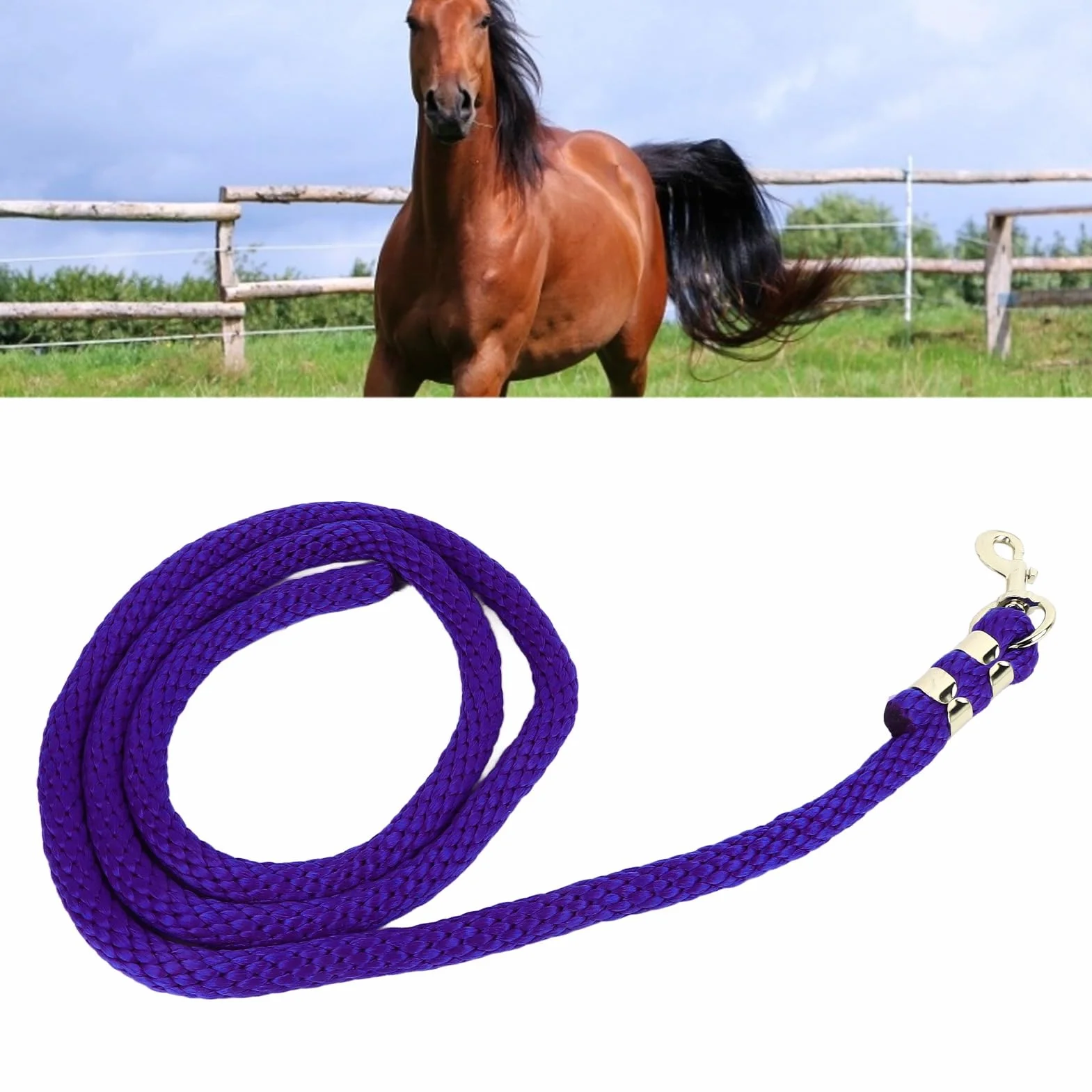 Linea di affondo per Cavalli con moschettone, Corda da addestramento per Cavalli Resistente, Linea di affondo in Rete ad Alta Resistenza per competizioni di Allenamento e trazione