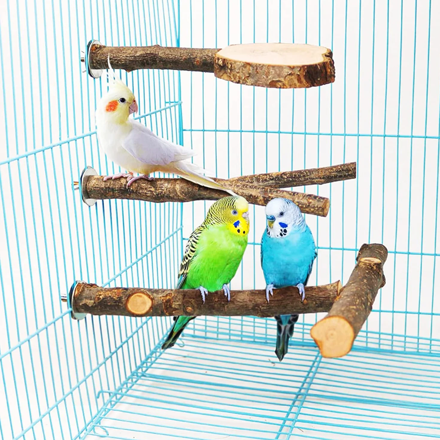 6 Pz Posatoi per Uccelli, Posatoi in Legno Posatoio per Pappagalli per Posatoi Legno per Pappagalli, Posatoi per Uccelli Legno Naturale, per African Parrot Birds