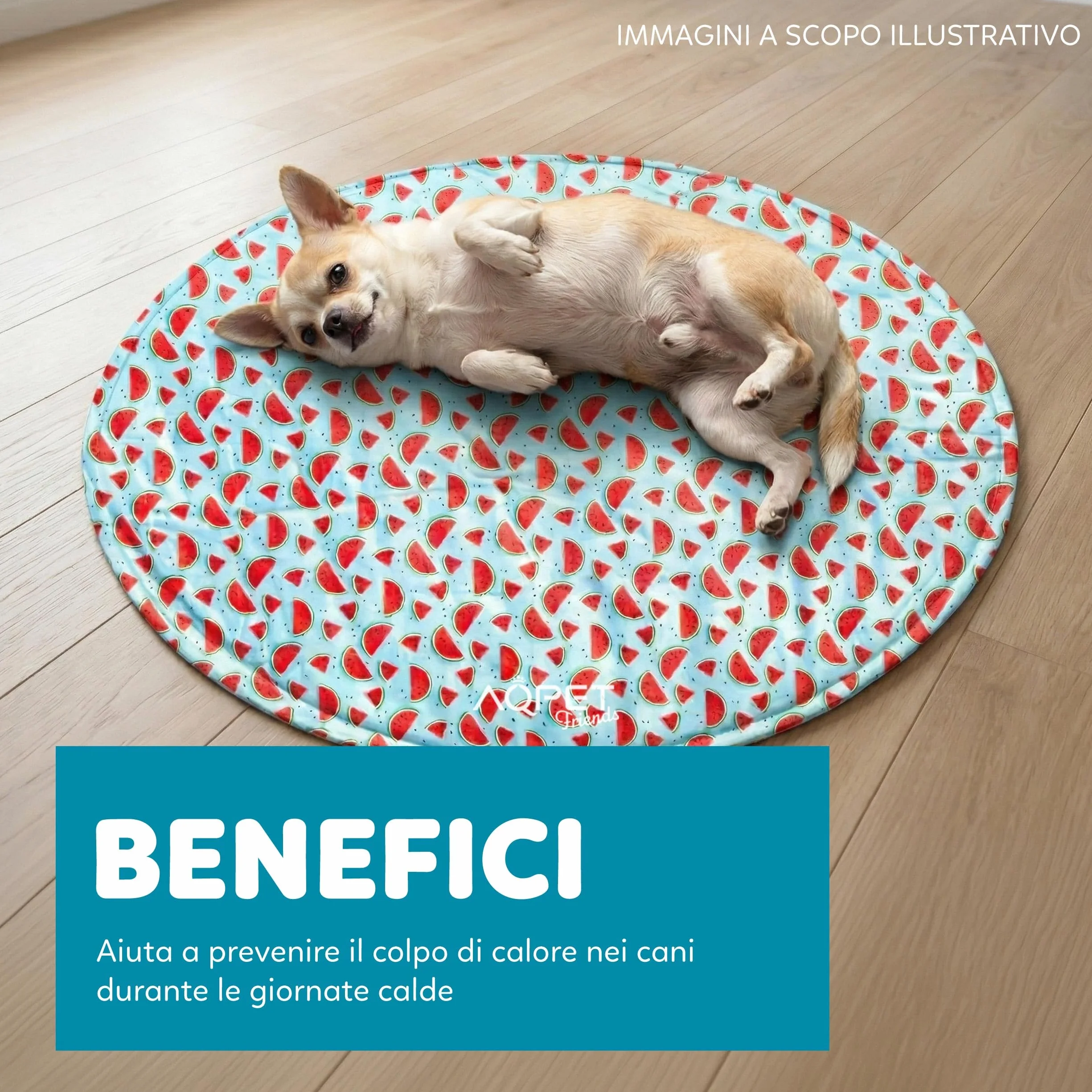 AQPET Tappetino Refrigerante Rinfrescante per cane forma Tonda, Gel non Tossico, sistema di Auto Raffreddamento, Fantasia Fruit, Misura Diametro 60 Cm