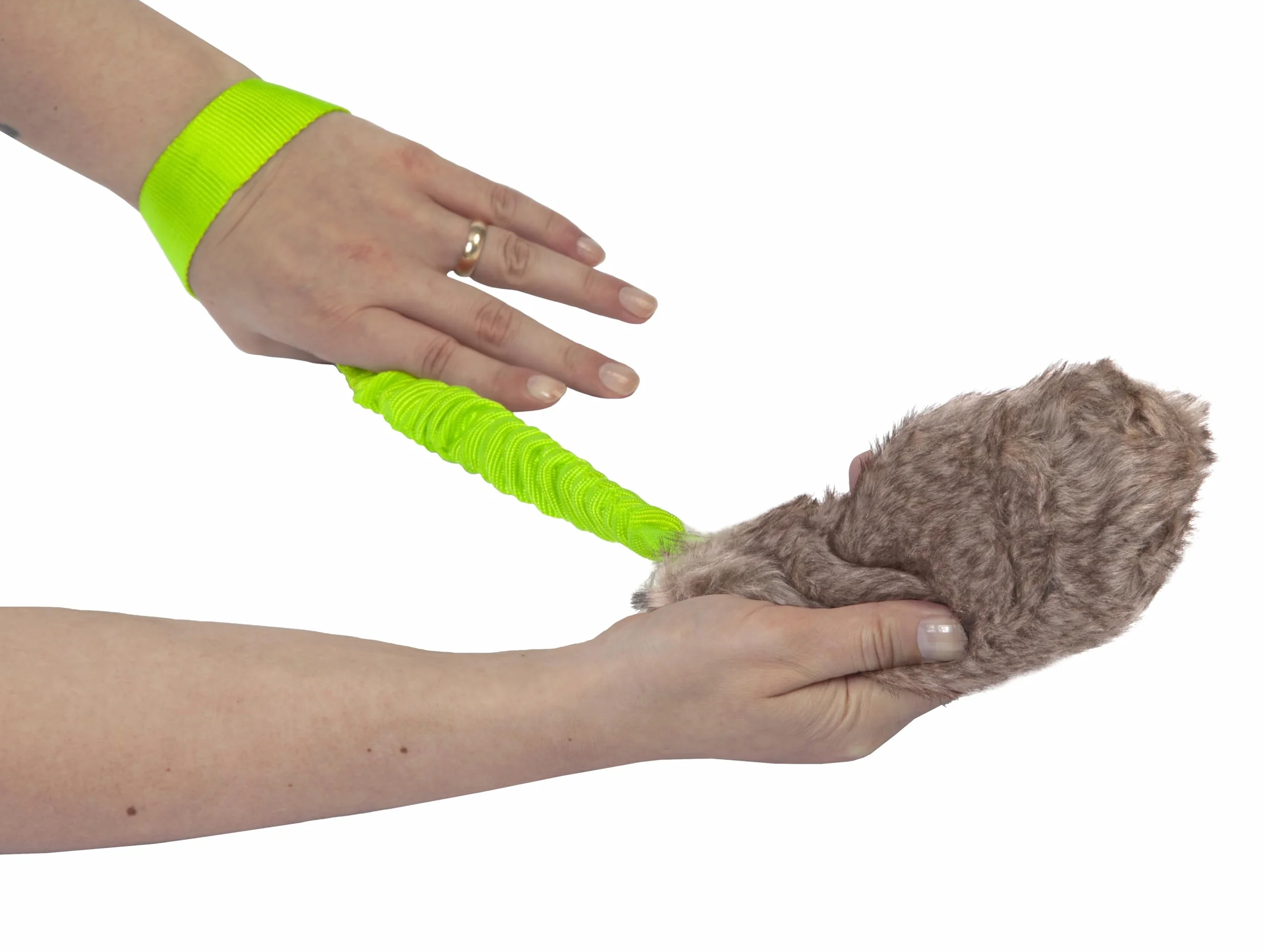 Dingo Giocattolo per Cane in Pelliccia Sintetica, Esca Squeaker 55 cm con Manico Elastico per Agilità, Addestramento, Riporto, Caccia e Gioco – Verde (15584-2)
