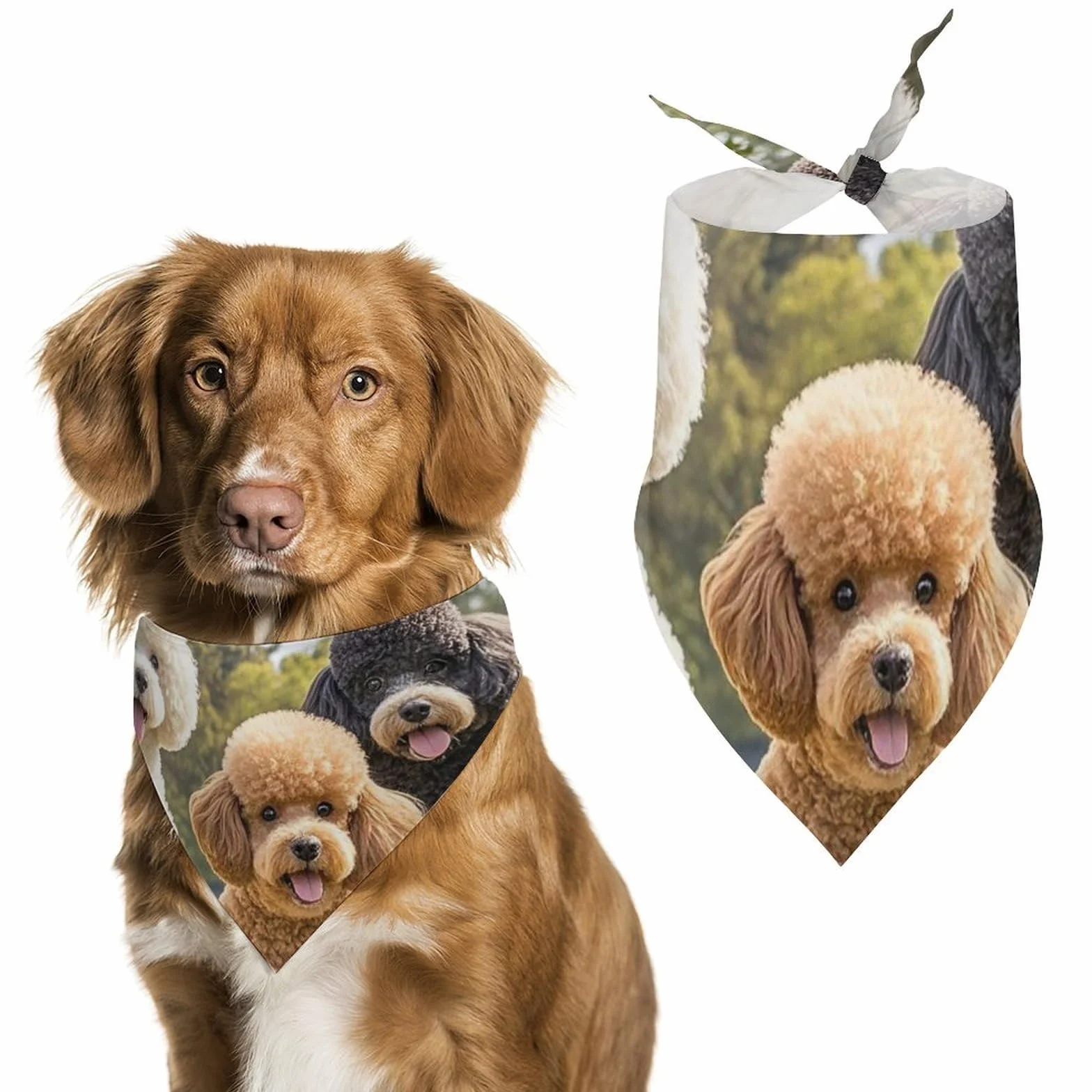 Barboncini DogsPet Sciarpa Bandana per cani taglia piccola media grande triangolo tessuto alta qualità