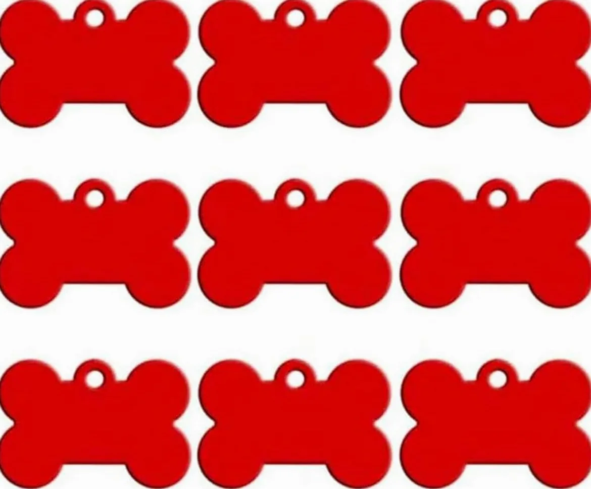Targhetta identificativa per animali domestici con numero di nome, 100 targhette per animali domestici in alluminio incise personalizzate, targhette per animali domestici vuote, targhette identificat