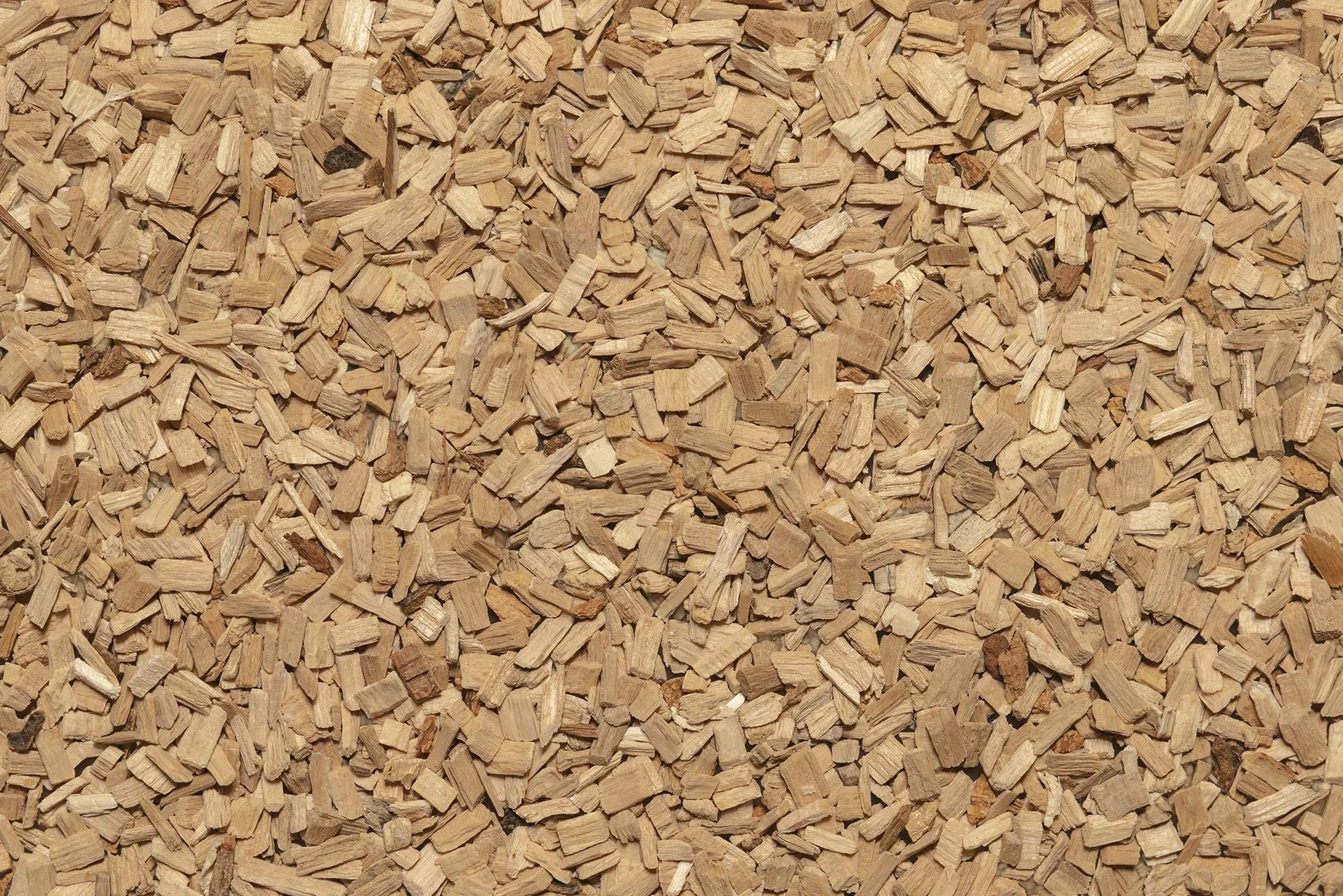 Ajm Pet Products Ltd - Biancheria da Letto in Legno di faggio, 10 l, Misura Media