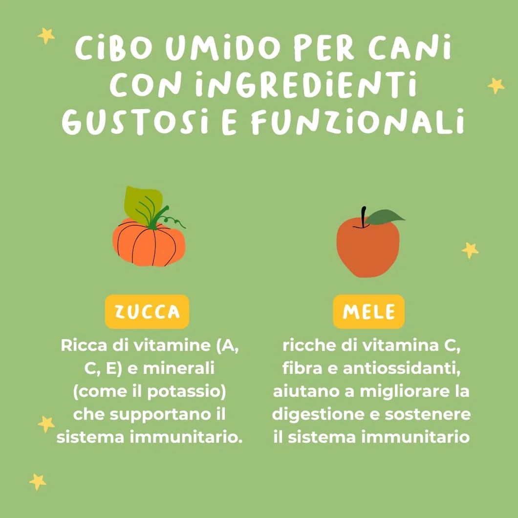 Hygge Dog Cibo Umido per Cani Monoproteico al Maiale | Con Patate e Finocchietto | Cibo Per Cane Adulto | Senza Cereali, Ideale per Dogs Sensibili | Prodotto in Italia | 12 x 400g
