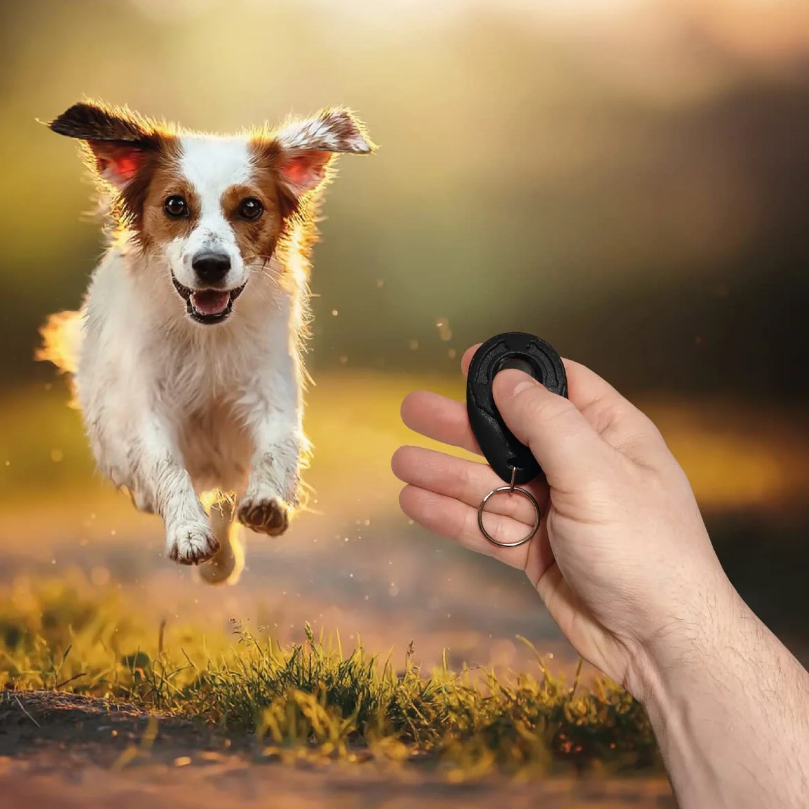 Clicker per Cani con Portachiavi, Addestramento e Formazione, Dog Training - Cane, Gatto, Cavallo – Impugnatura Facile, Addestra ad Un Comportamento Corretto (Nero)