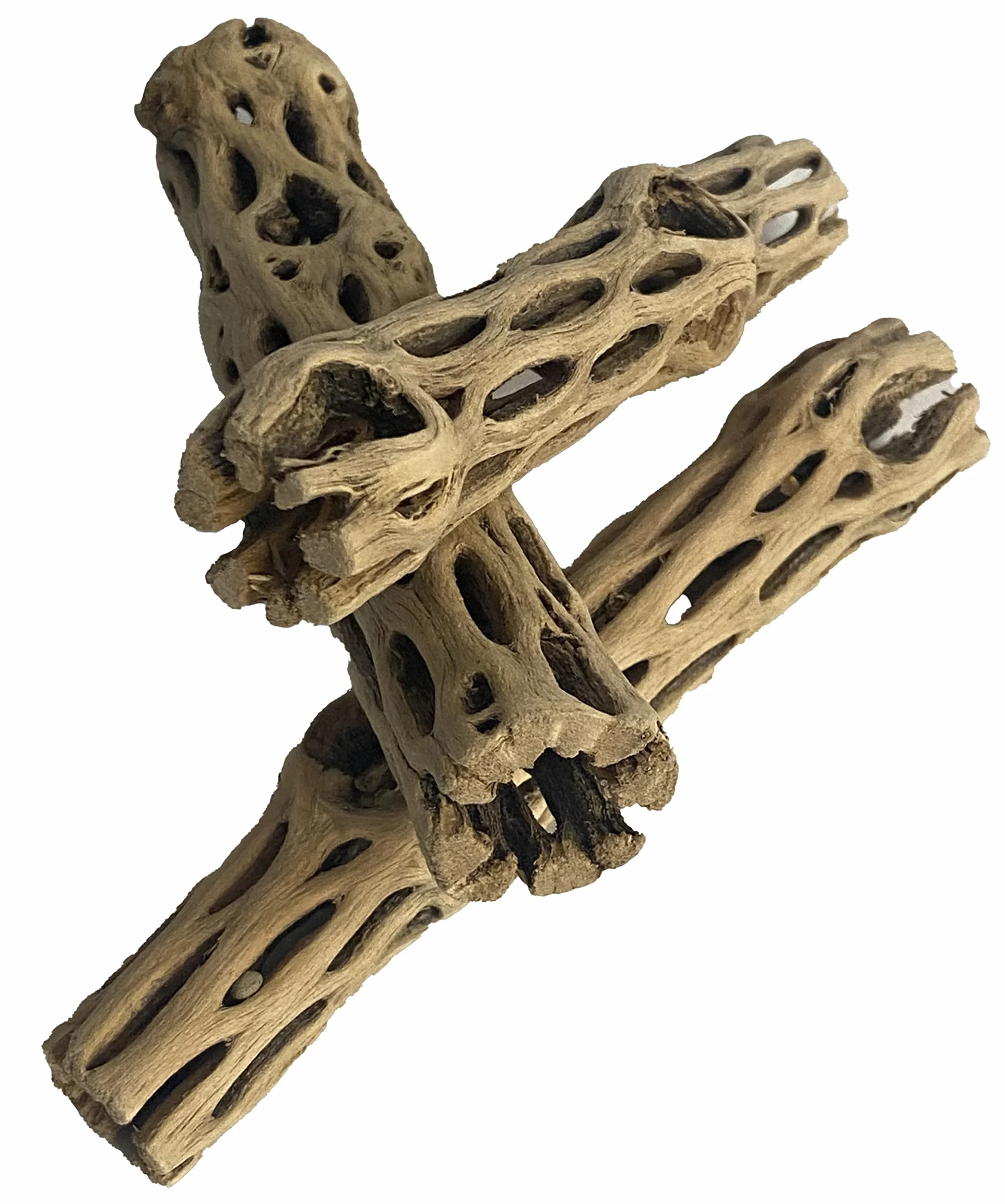 Fantastico Legno Naturale di Cholla/Choya, 3 Pezzi da 15.2 cm per Gli Habitat dei gamberetti e Il Trattamento Alimentare, per Erbe e granchi, Plettri per Acquario, Senza Spine, essiccati biologici